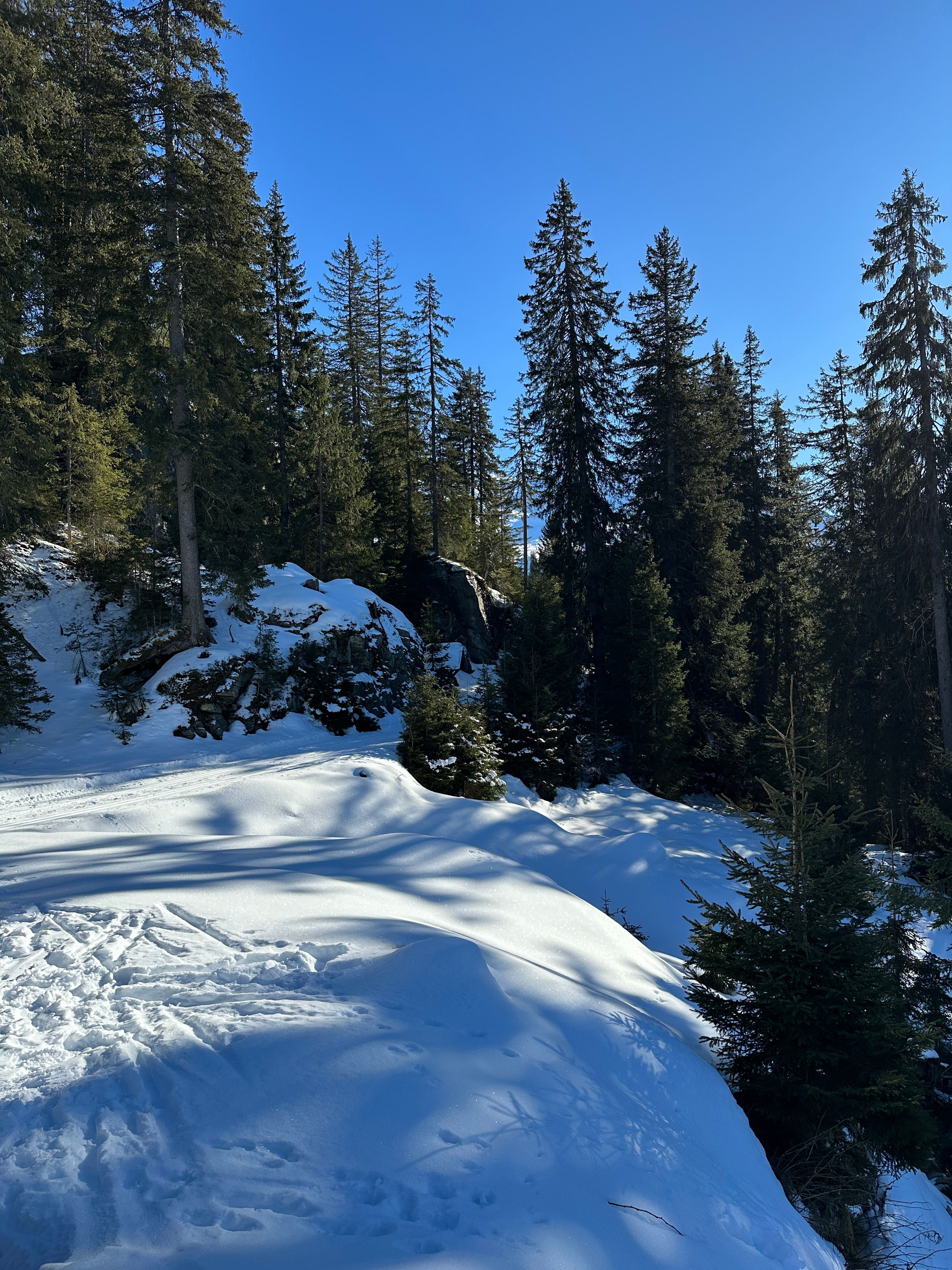 Skitour 2025, Bild 25