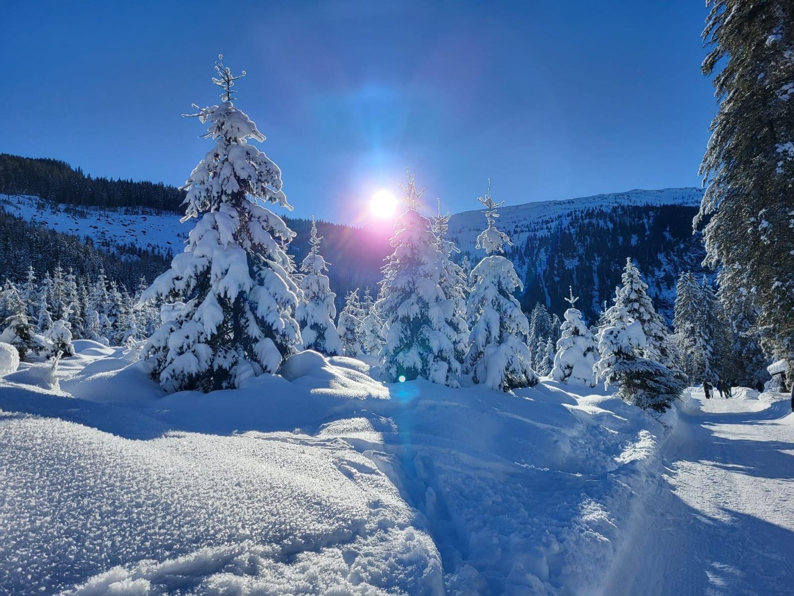 Skitour 2024, Bild 24