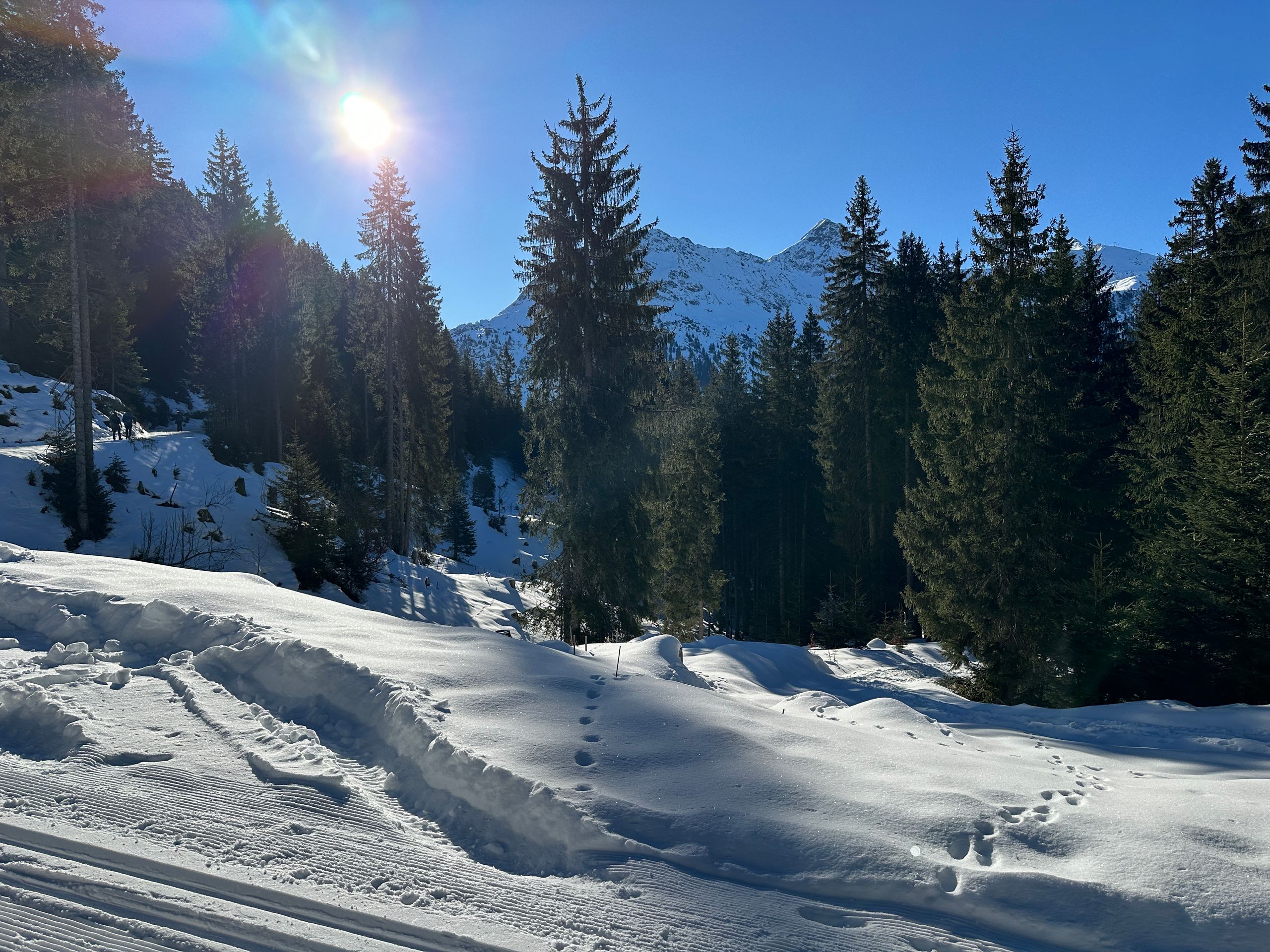 Skitour 2025, Bild 23