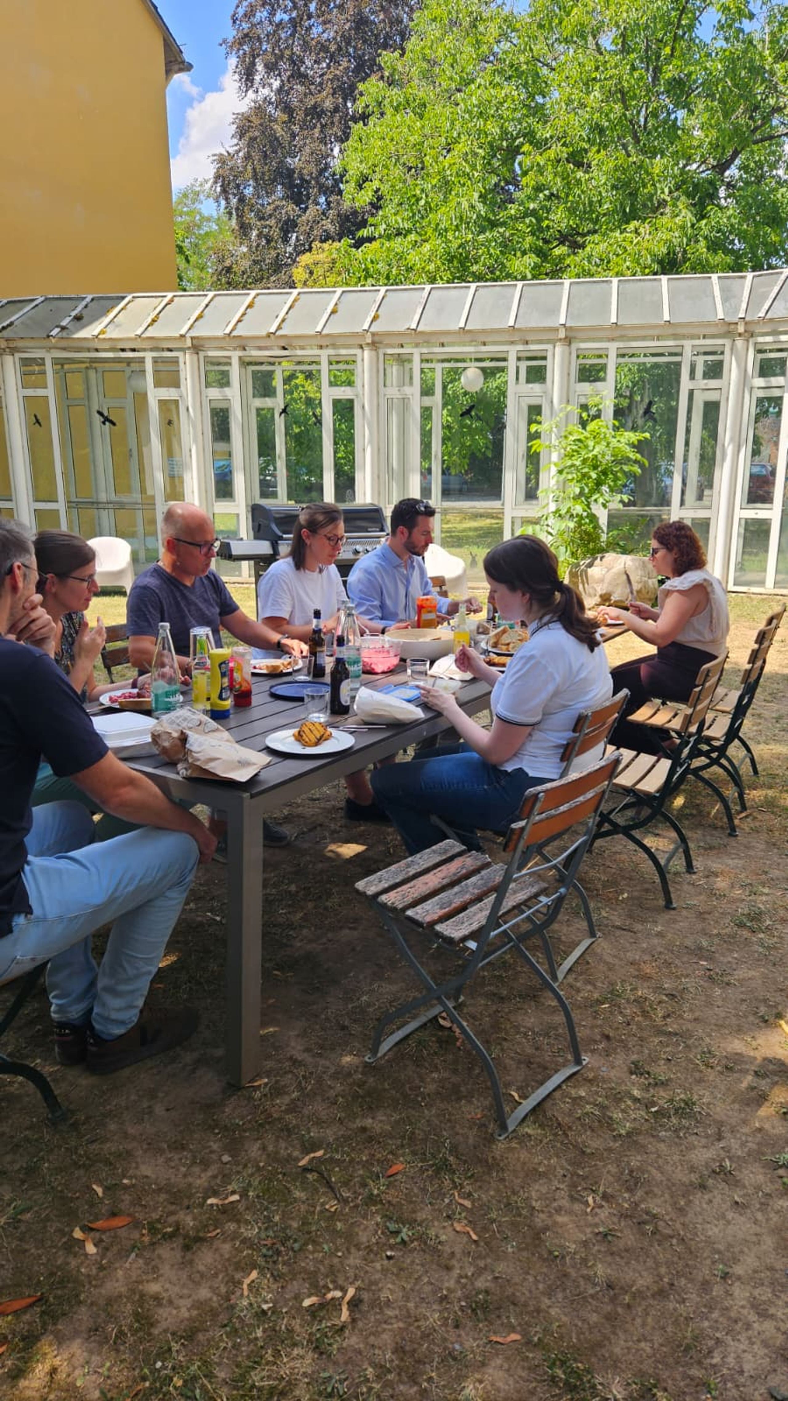 Sommergrillen, Bild 14