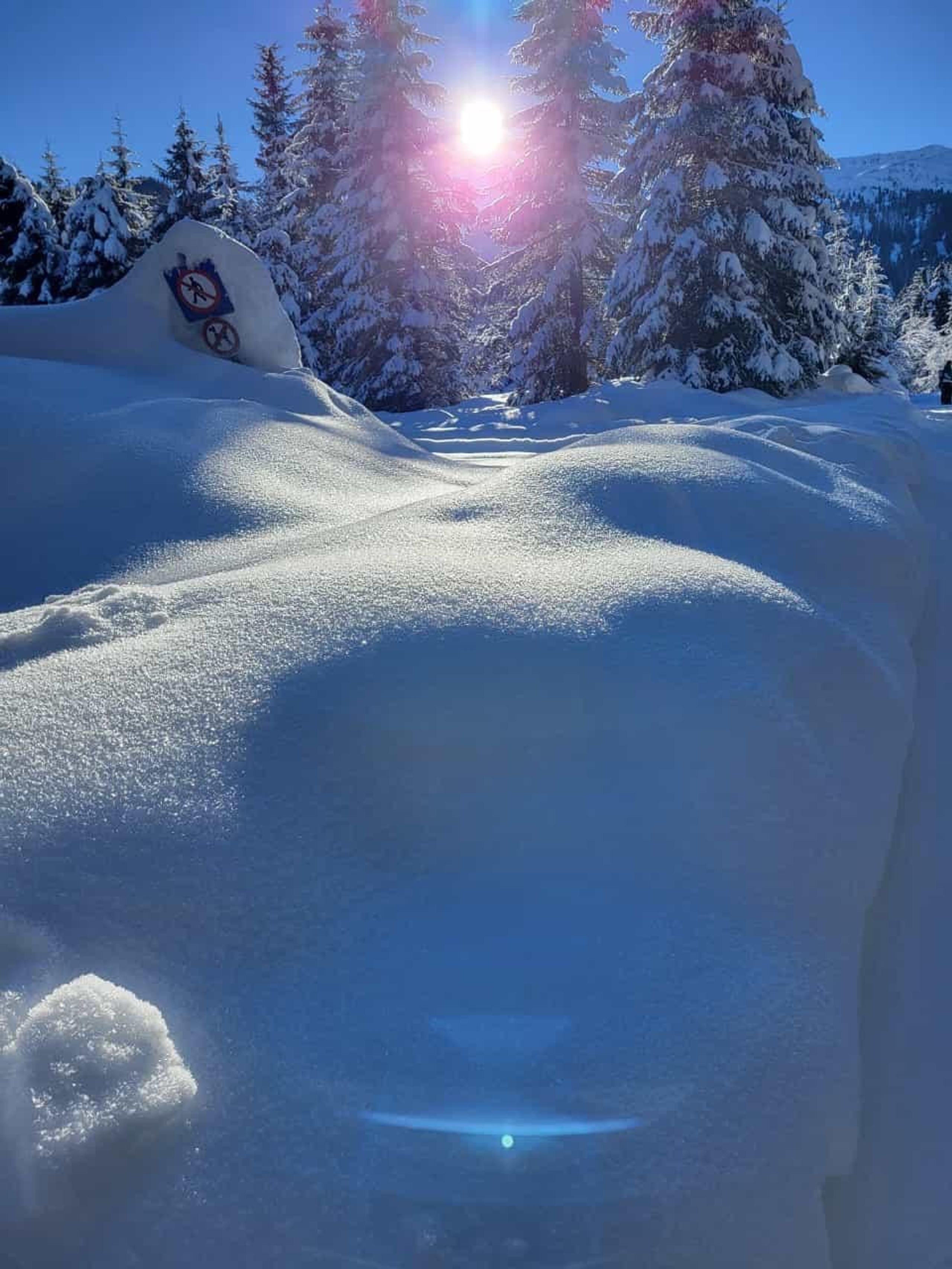Skitour 2024, Bild 21