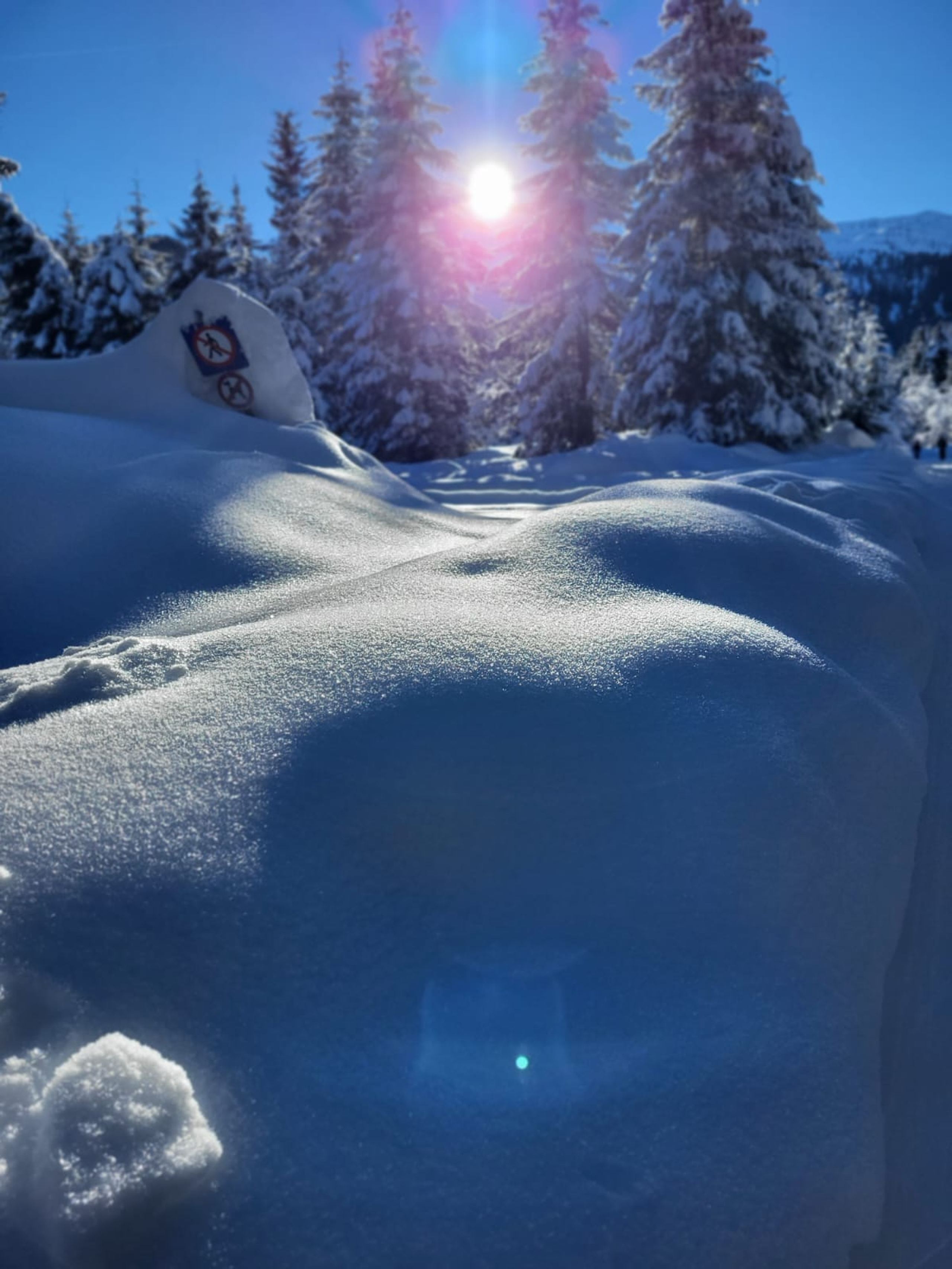 Skitour 2024, Bild 43