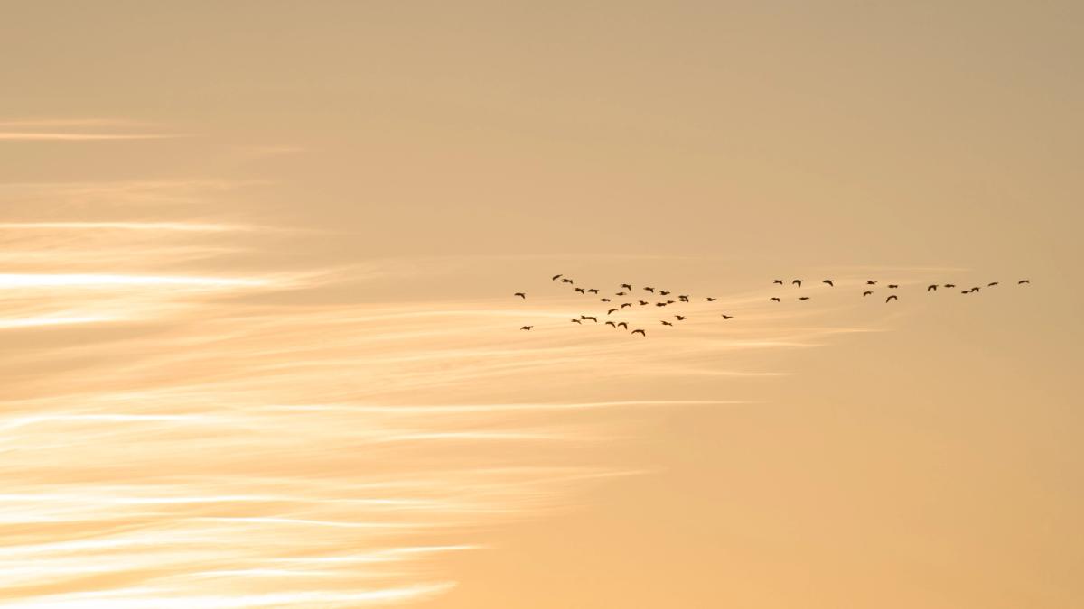 Landscape photograph