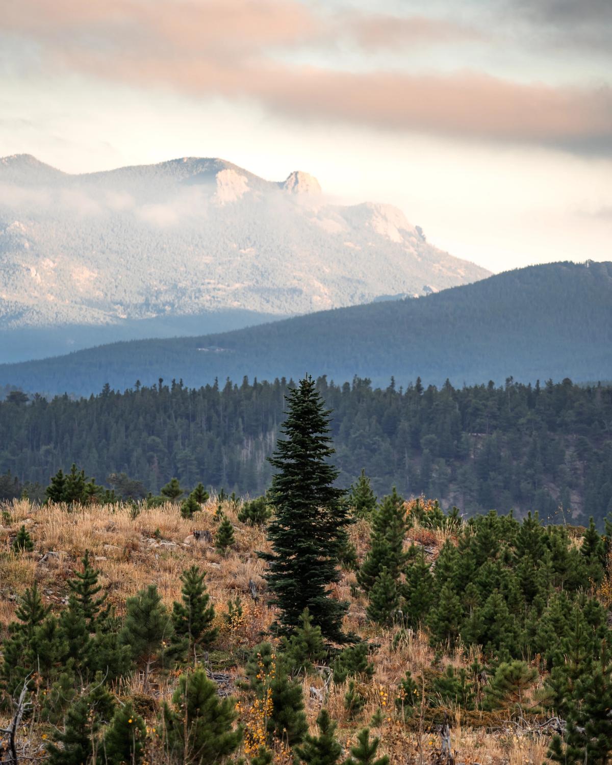 Landscape photograph