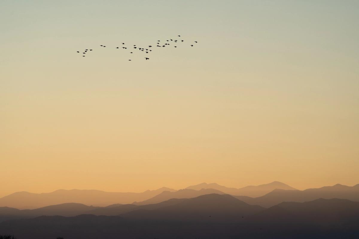 Landscape photograph