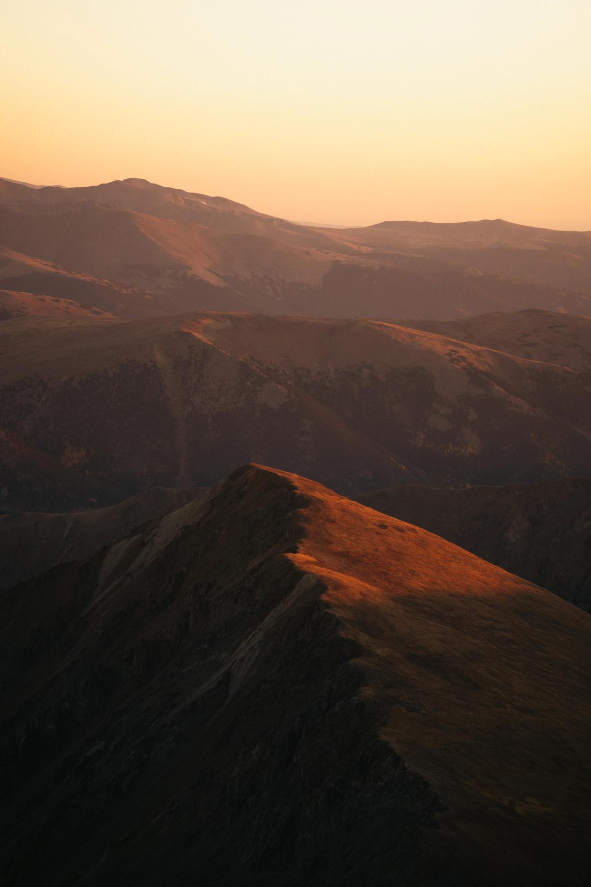 Wallpapers photograph