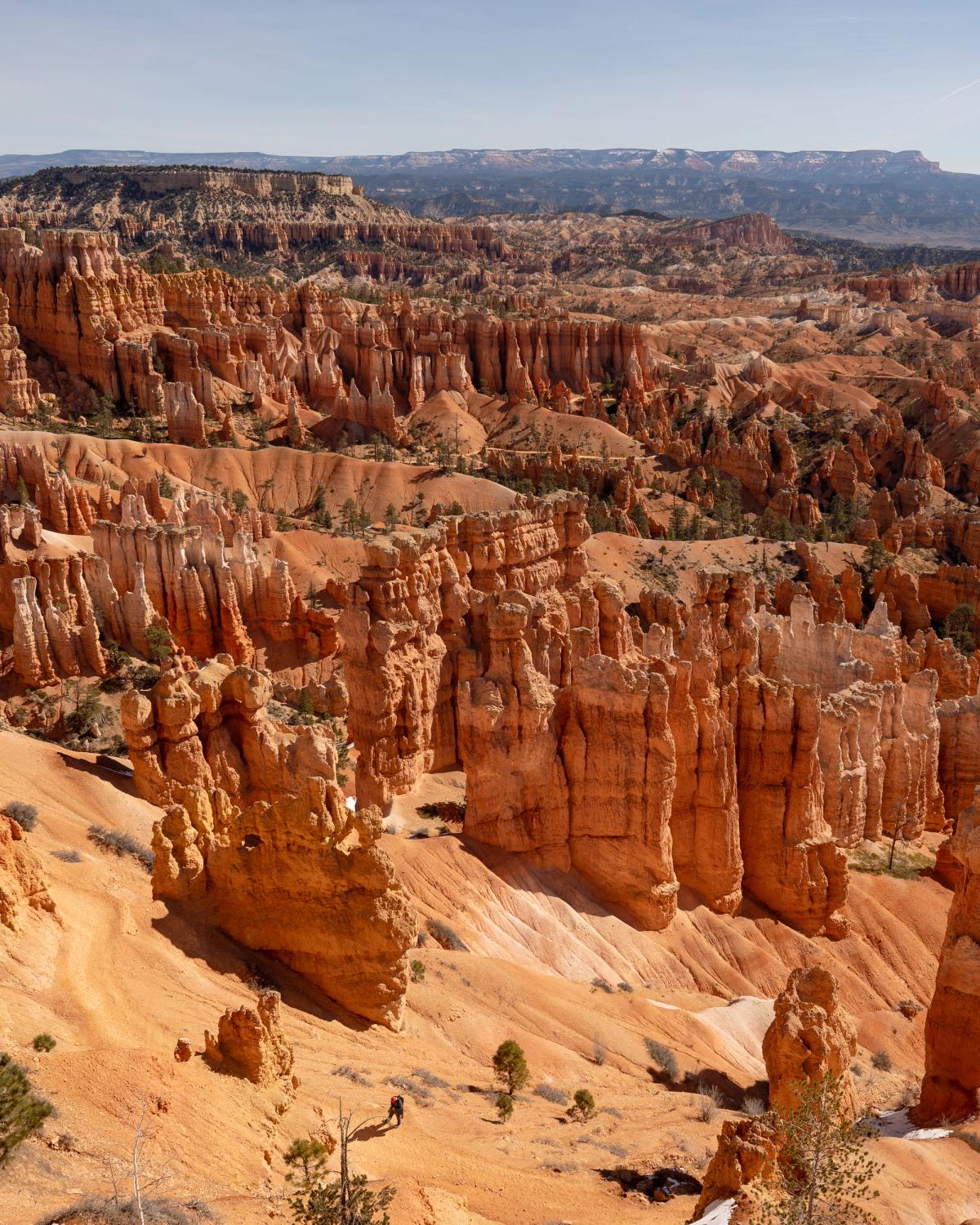 Landscape photograph