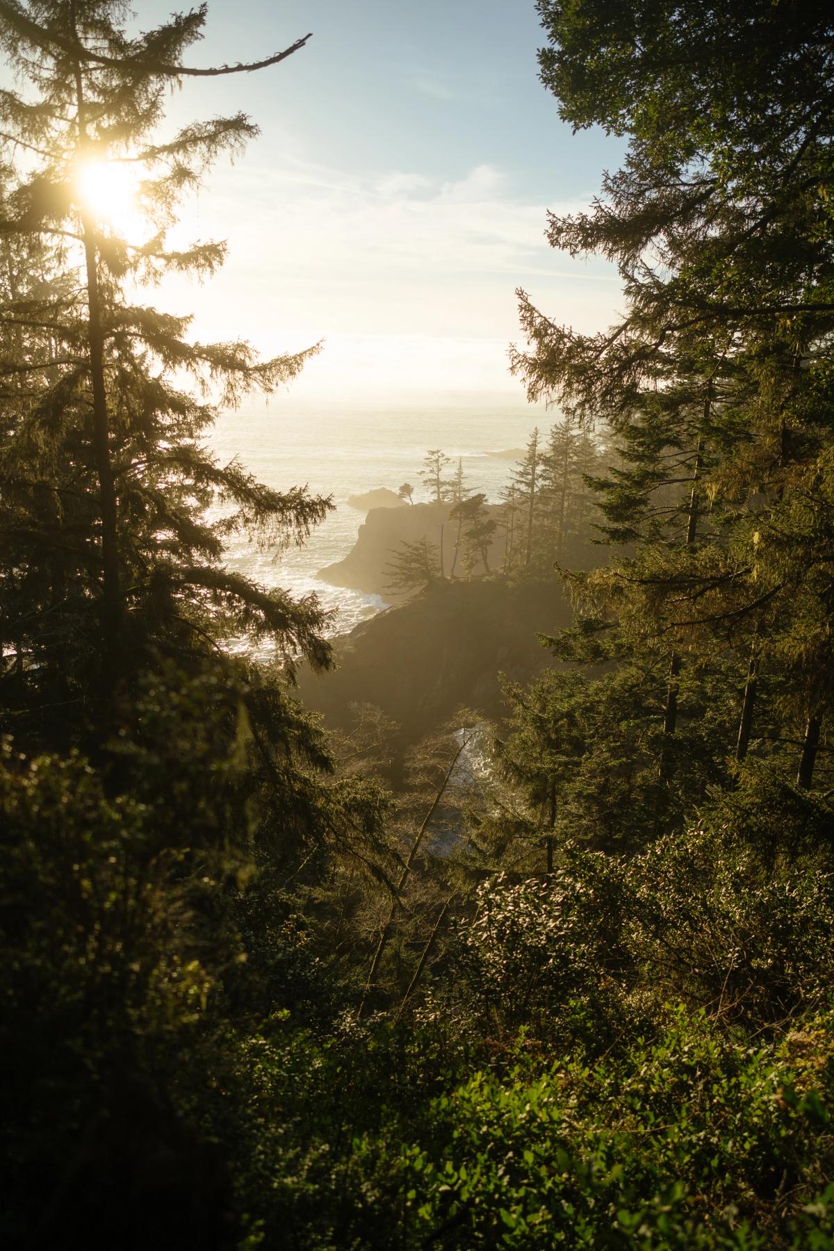 Landscape photograph