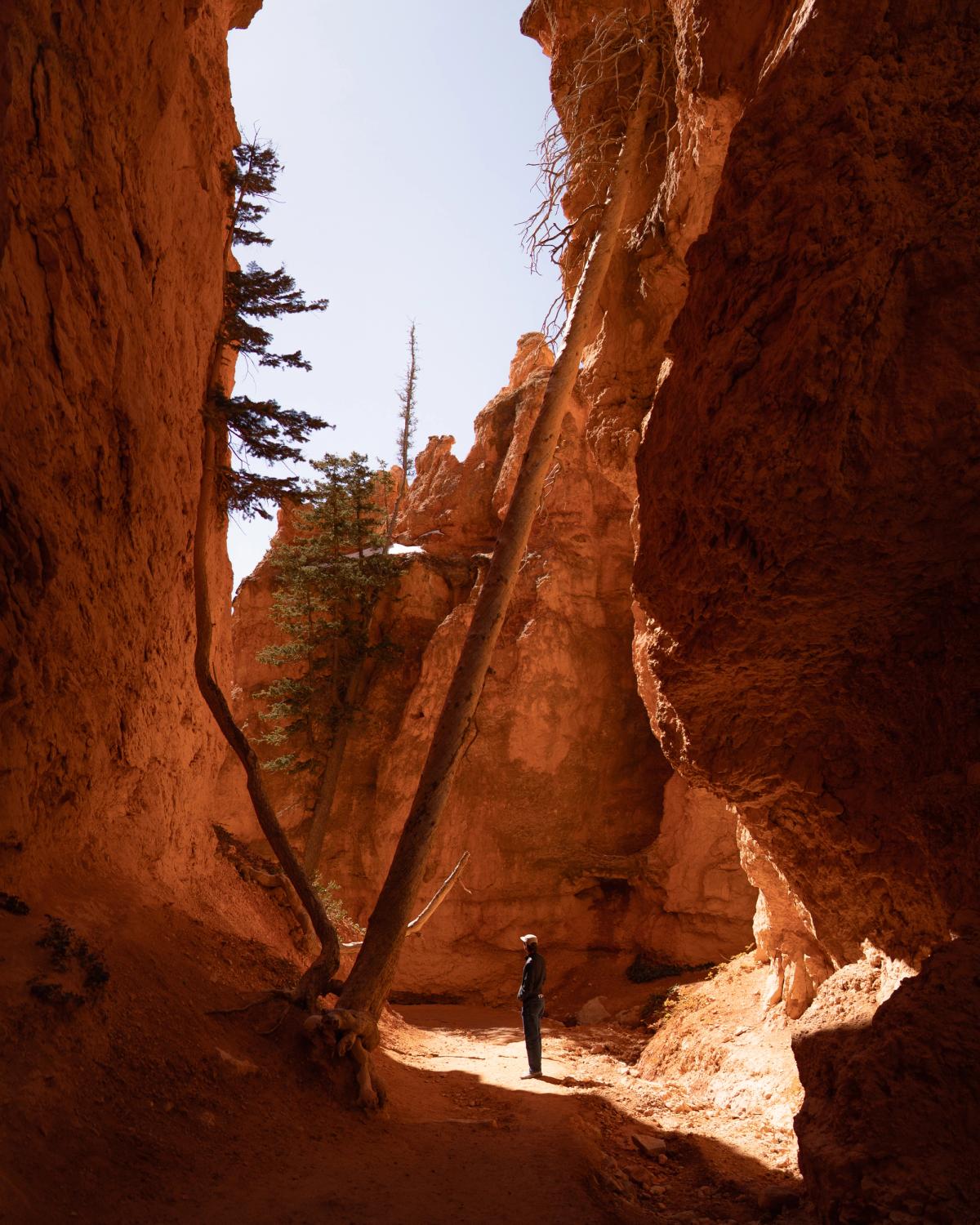 Landscape photograph