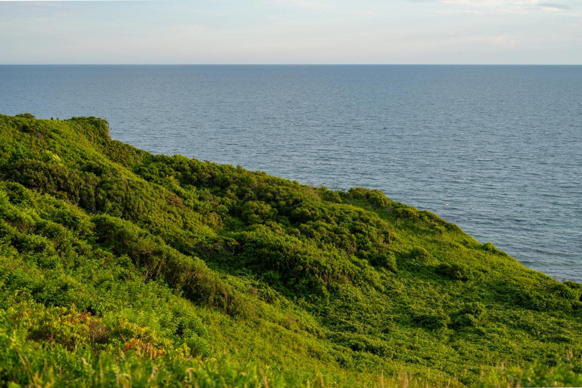 Wallpapers photograph