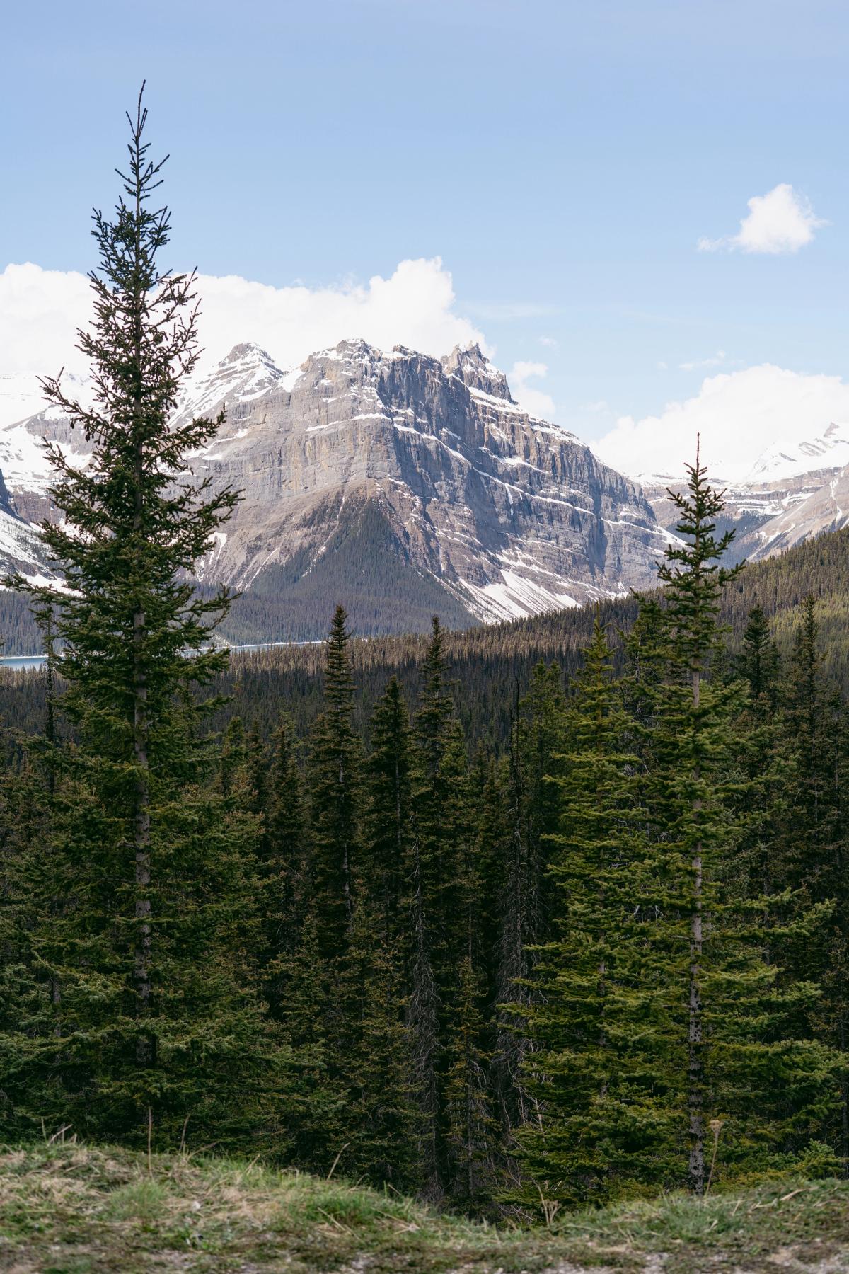 Landscape photograph