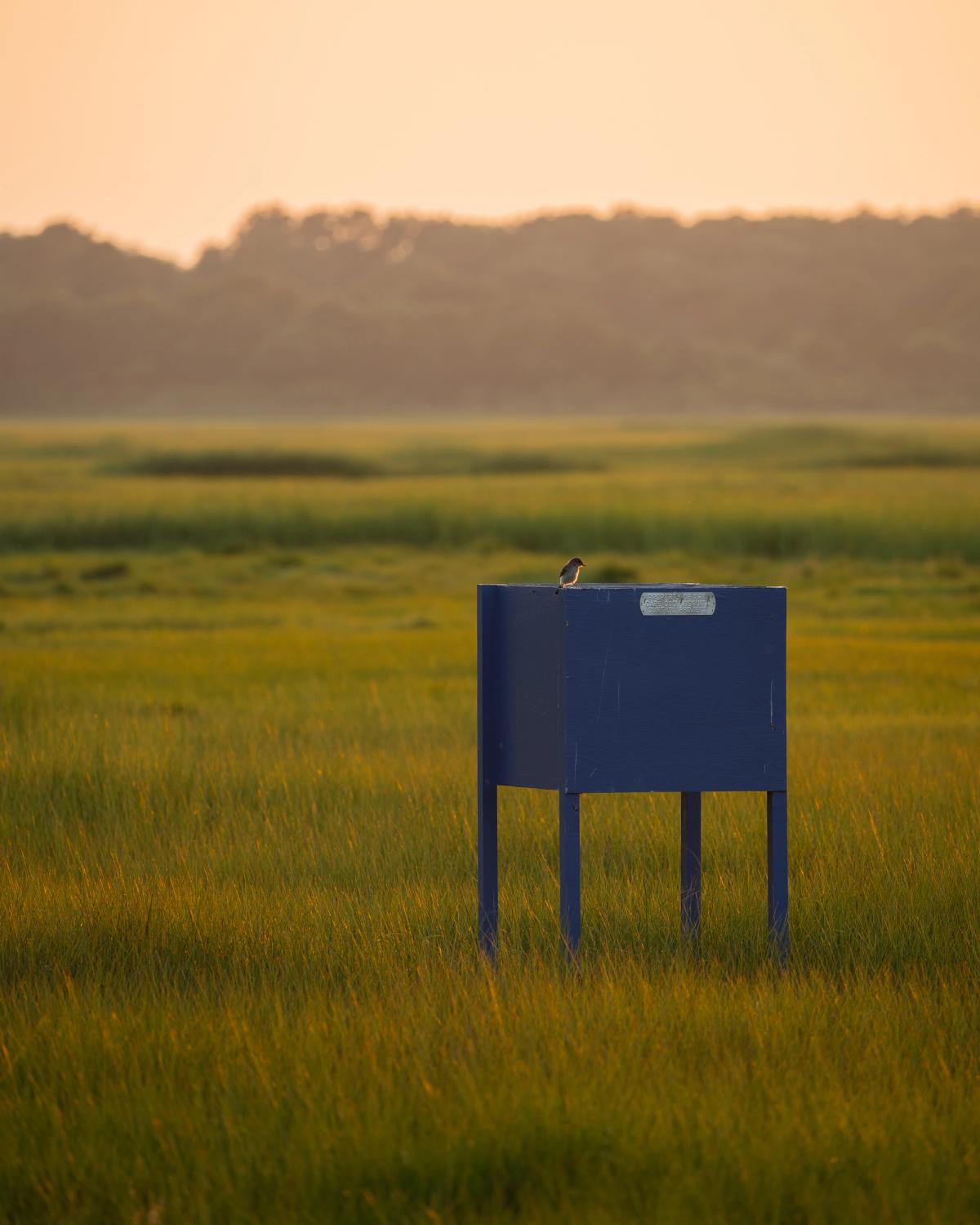 Landscape photograph