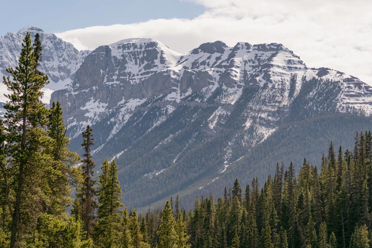 Landscape photograph