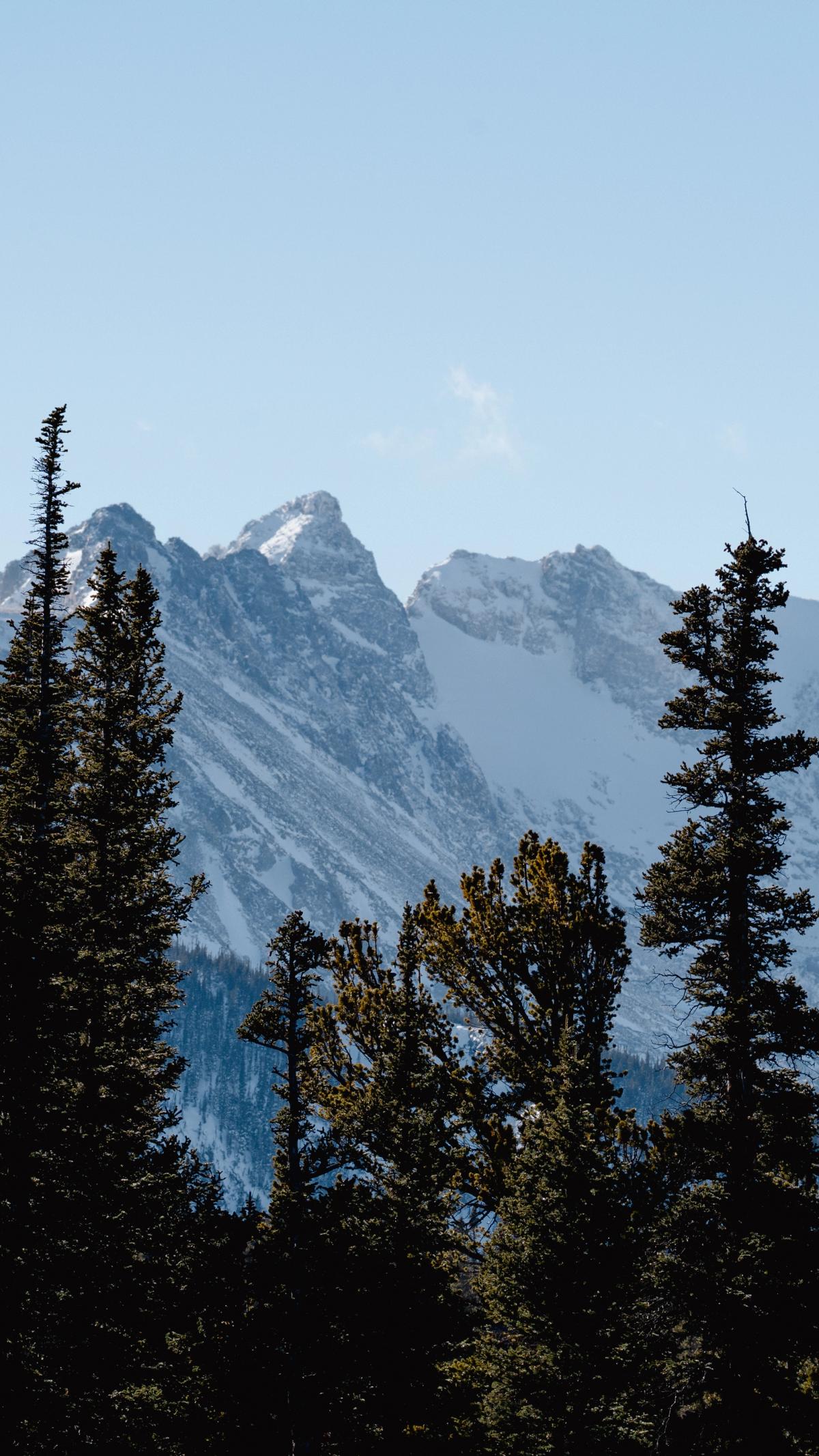 Wallpapers photograph