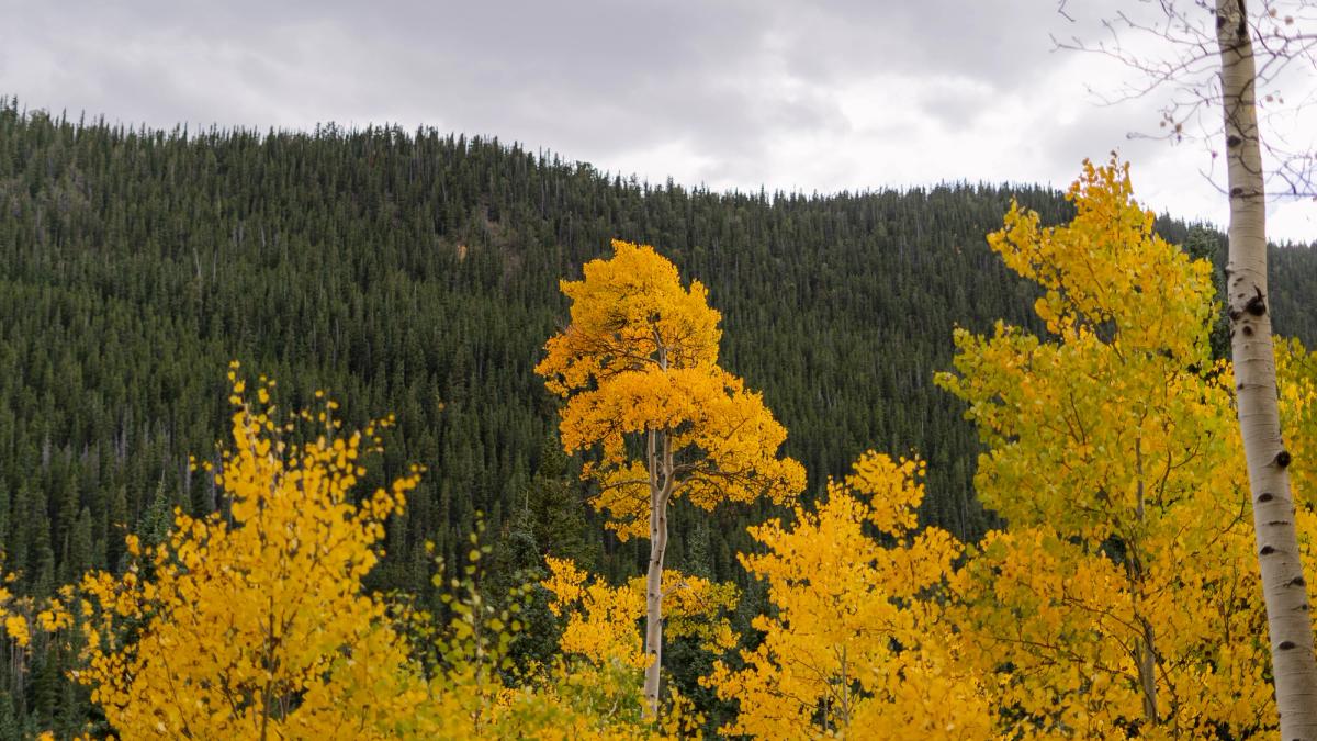 Landscape photograph