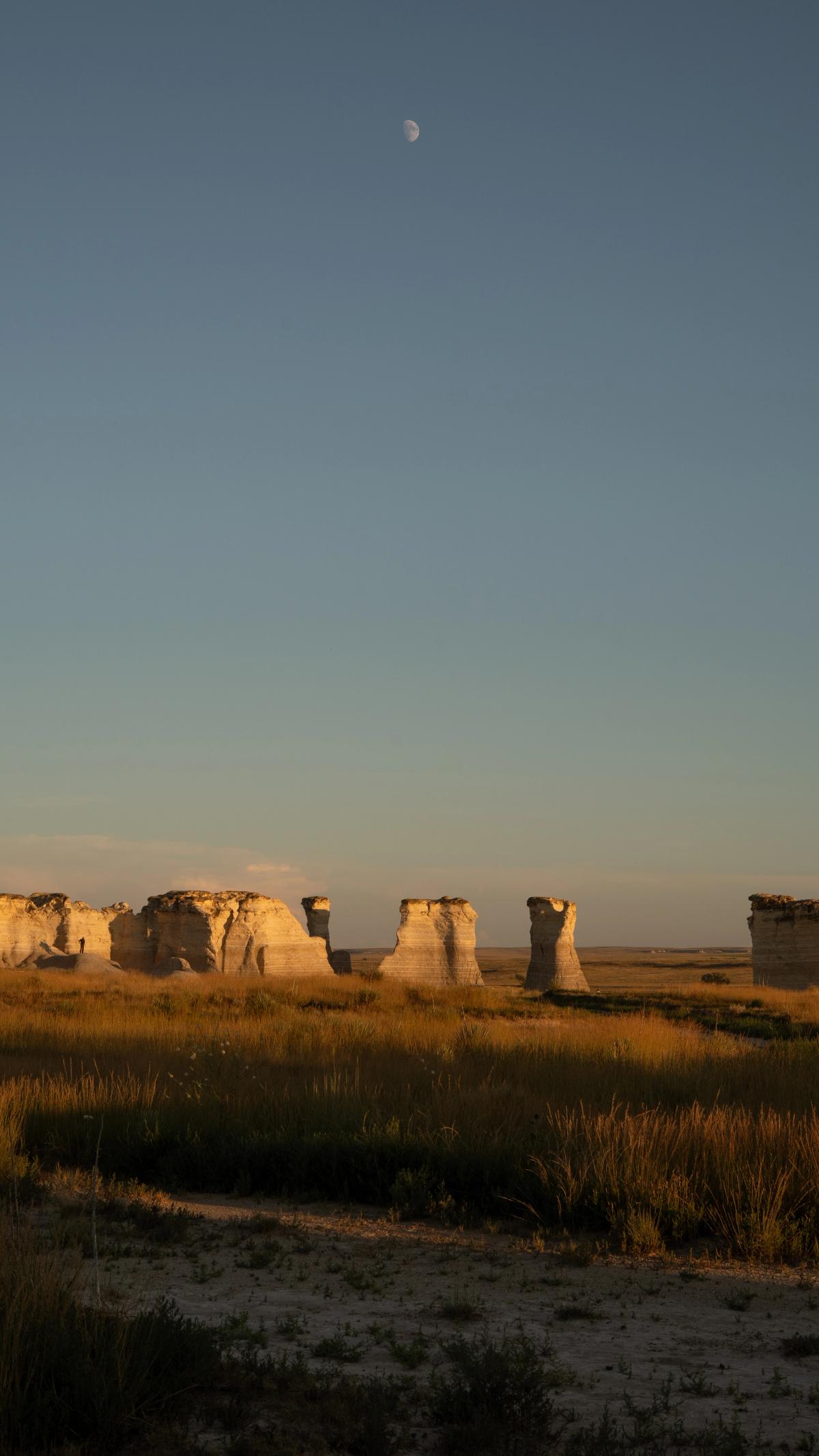 Wallpapers photograph