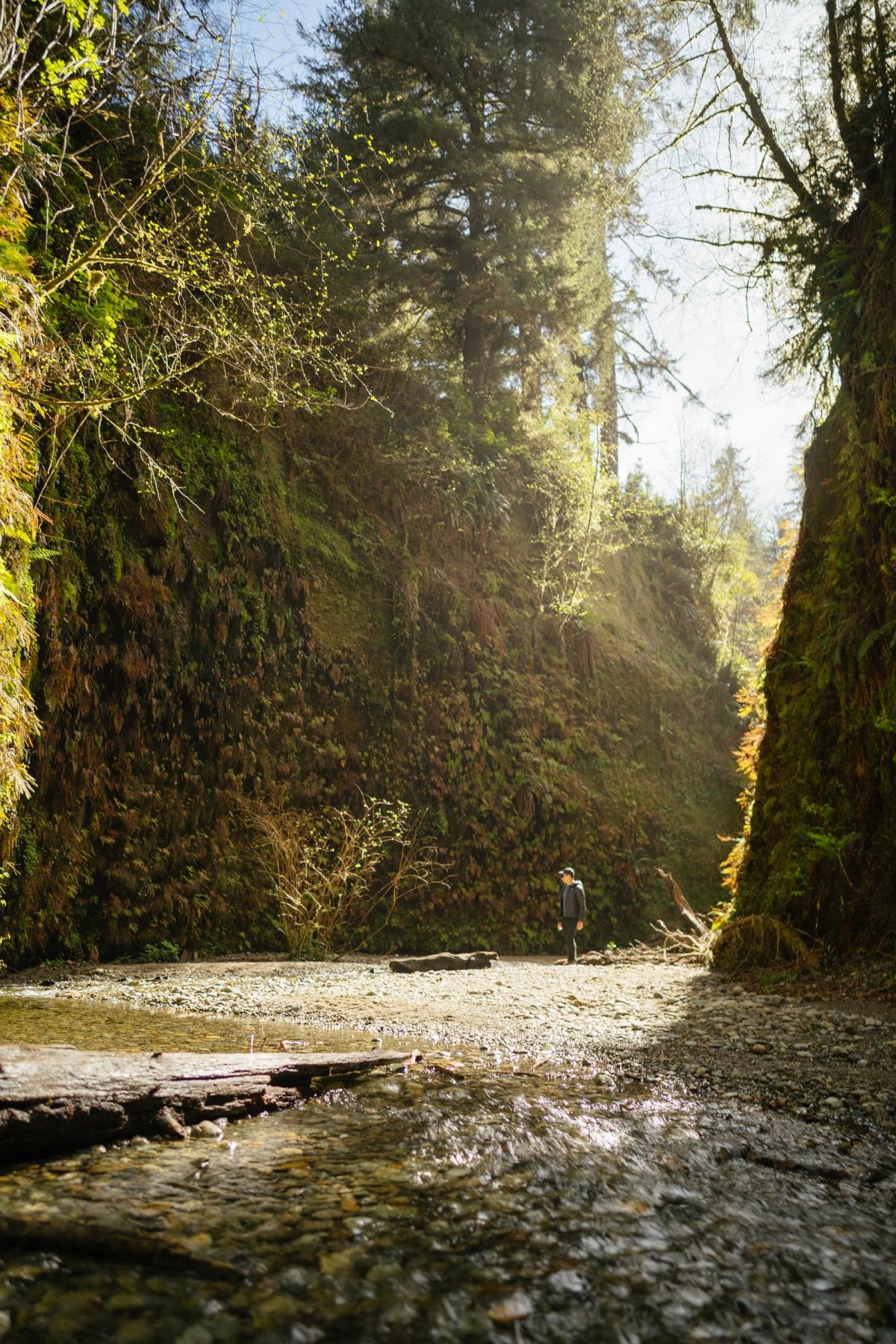 Landscape photograph