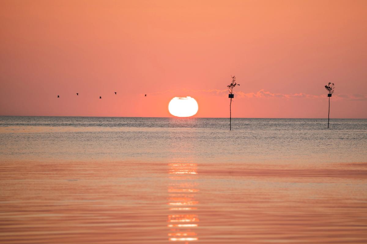 Landscape photograph