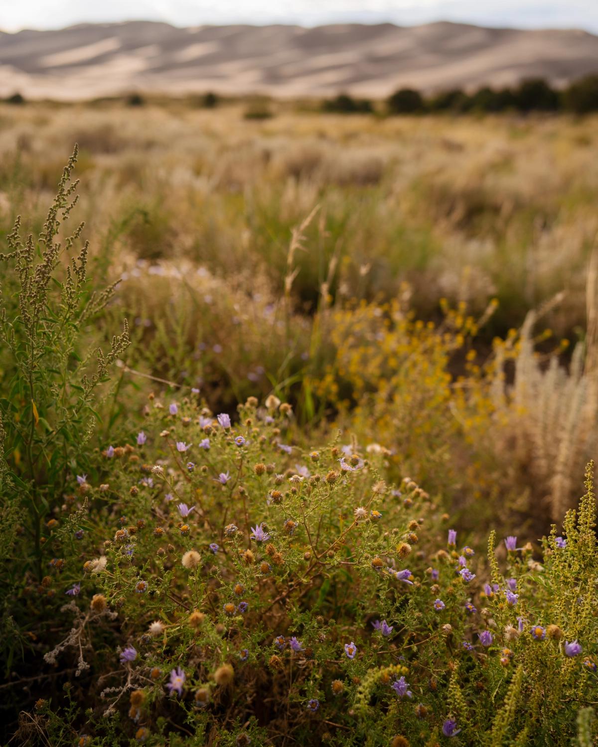 Landscape photograph