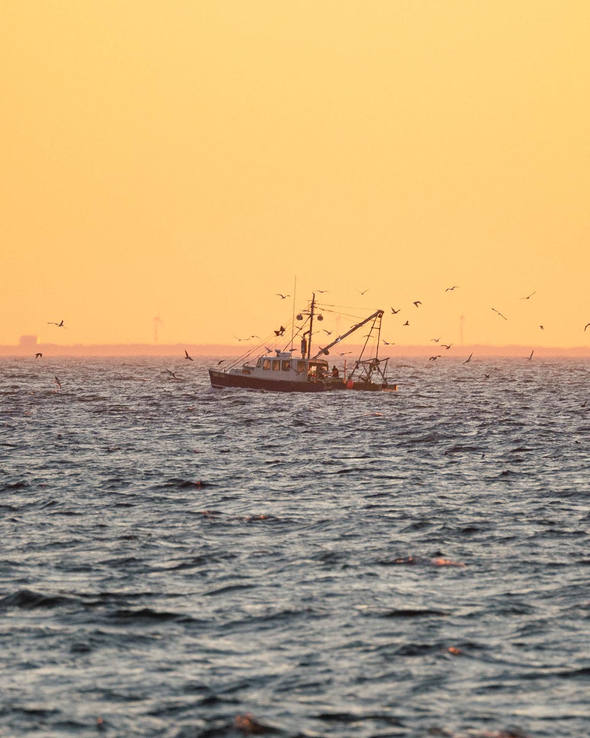 Landscape photograph