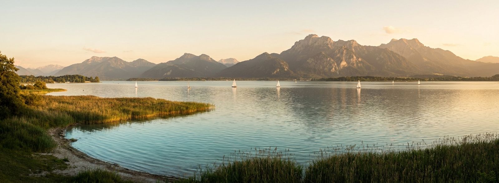 Urlaub mit Hund im Chiemgau