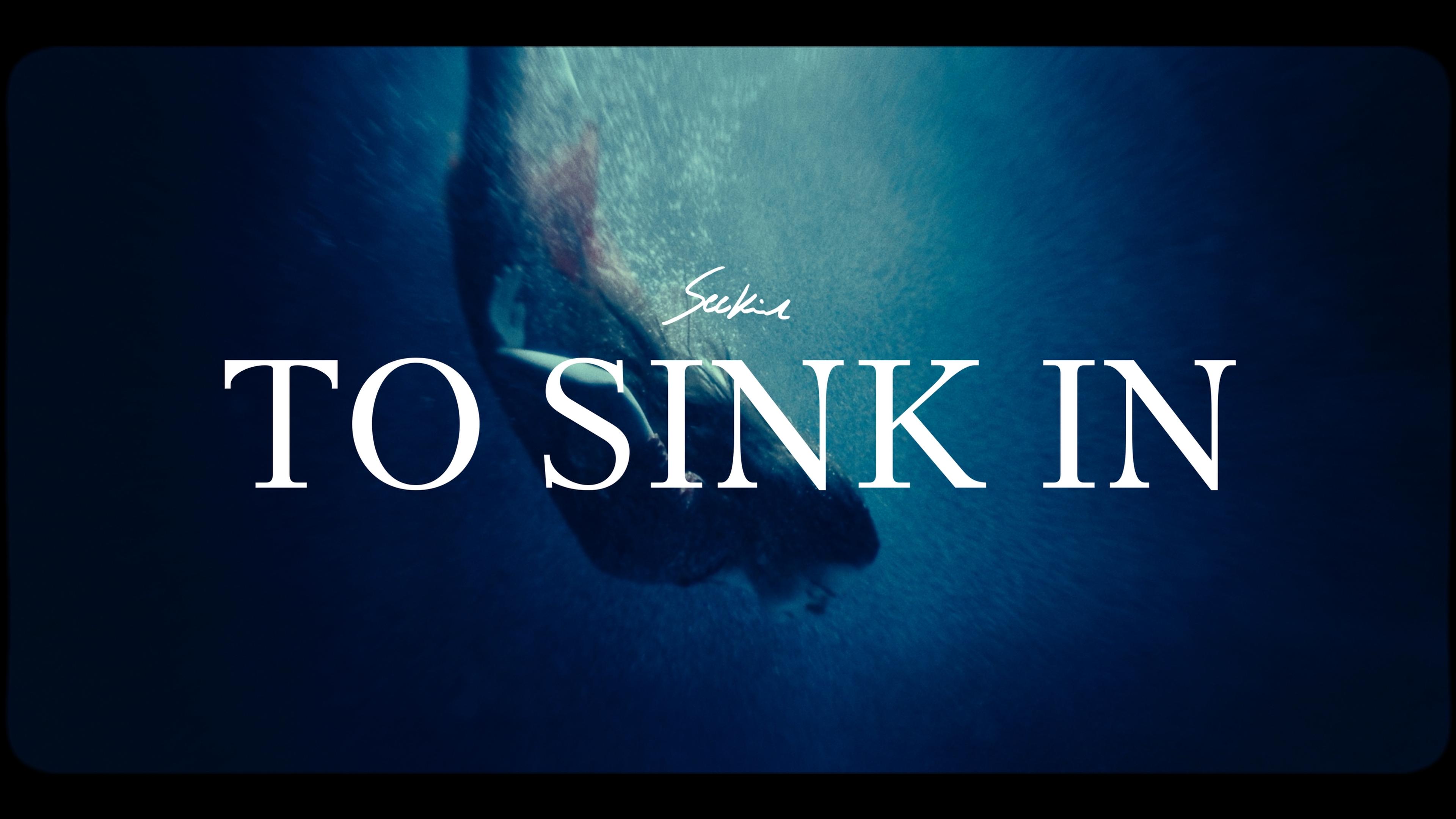 Cover image for to sink in