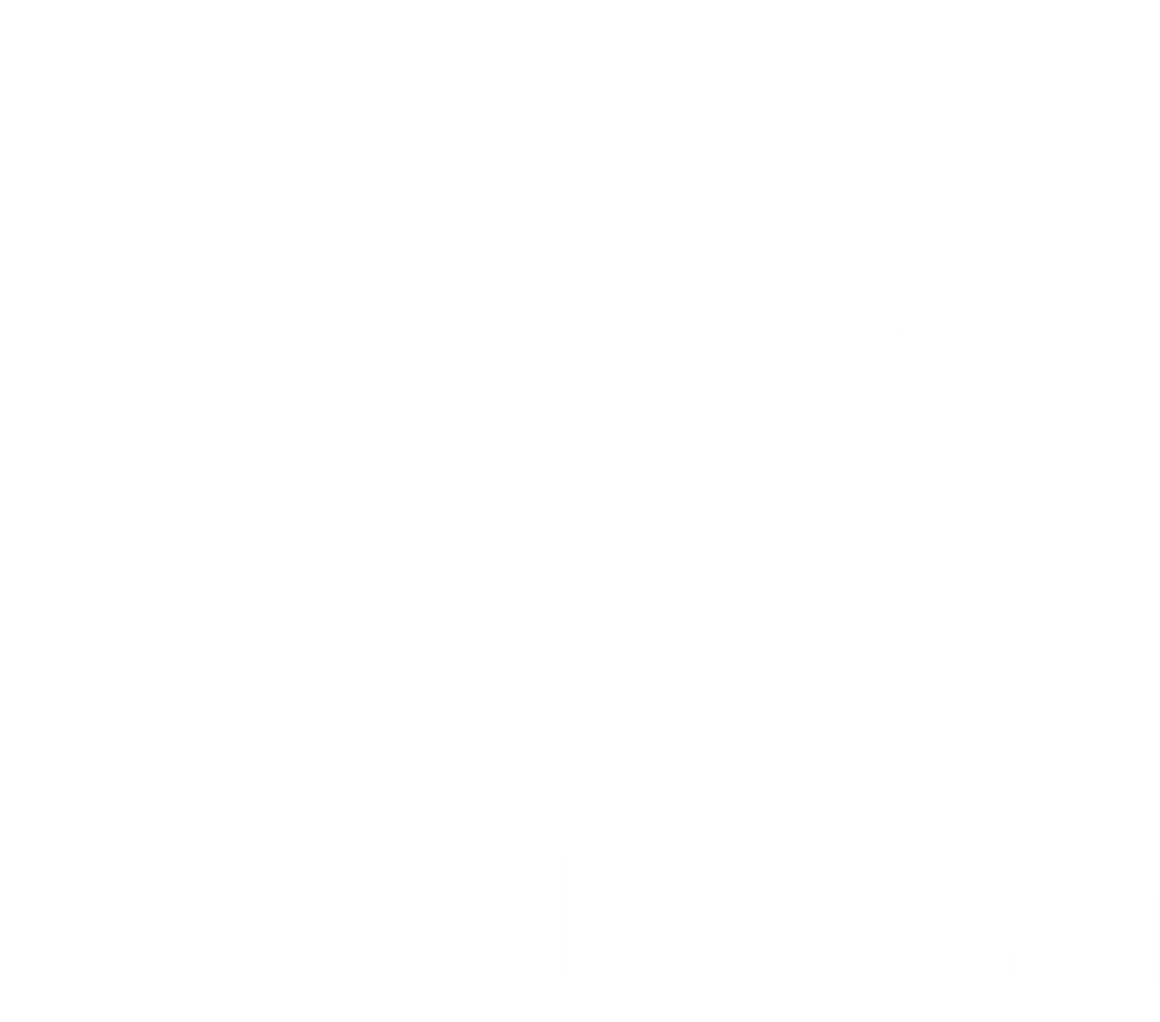 fh salzburg logo