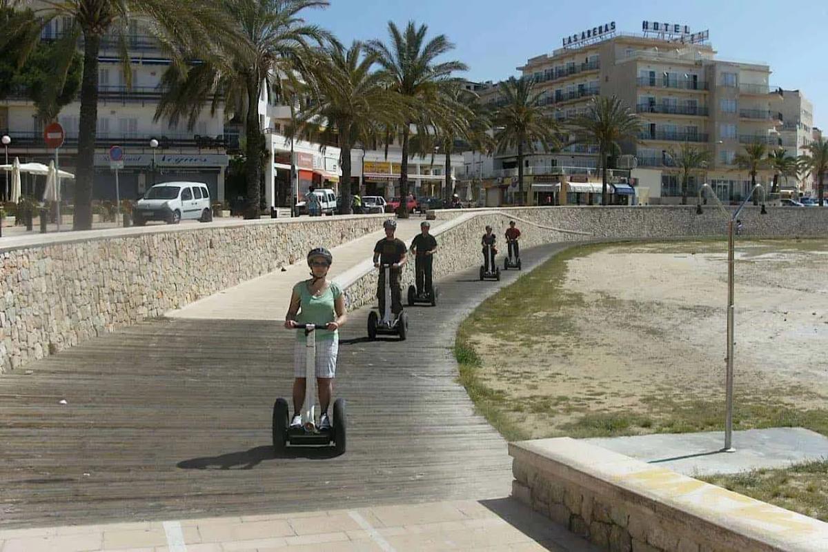 Palma at a Glance