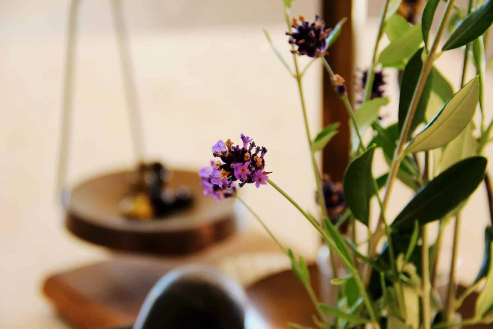 Finca Hotel in the Nature of Mallorca – Photo 9