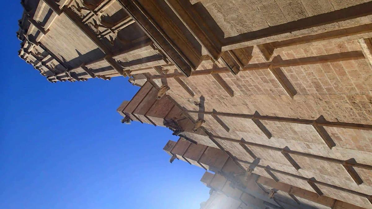 35 Dinge, die man auf Mallorca sehen sollte