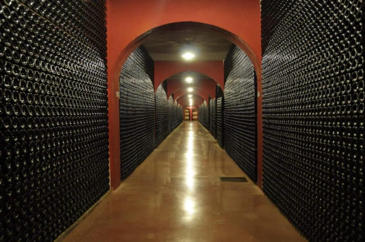 Wine Tasting