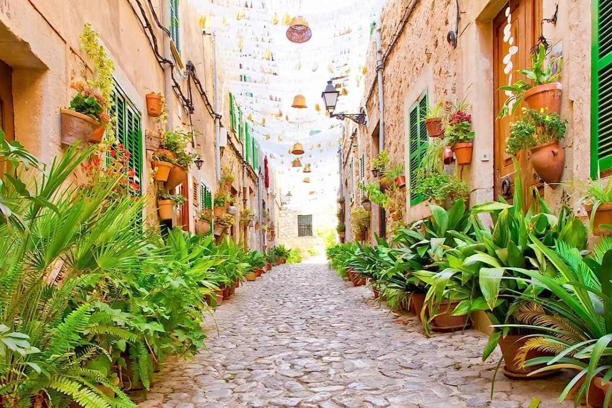 Cultural Rally in Valldemossa