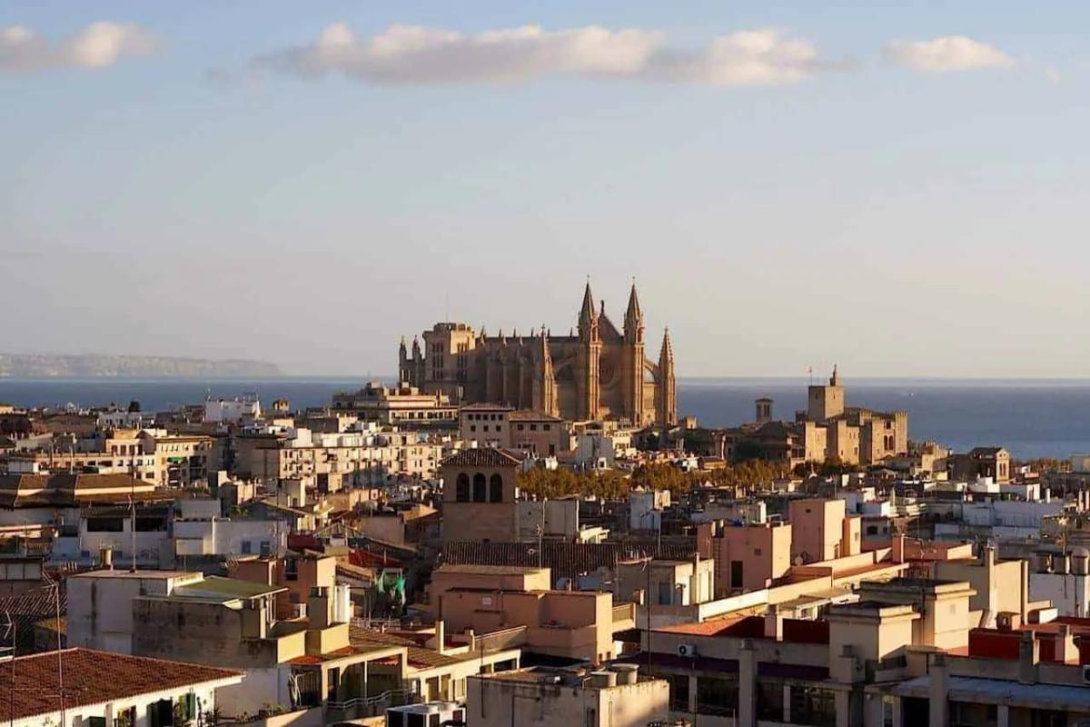 Palma Sightseeing Tour