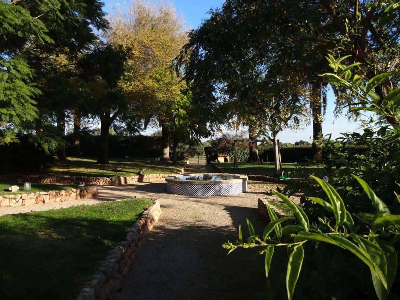 Finca im Süden Mallorcas – Foto 6