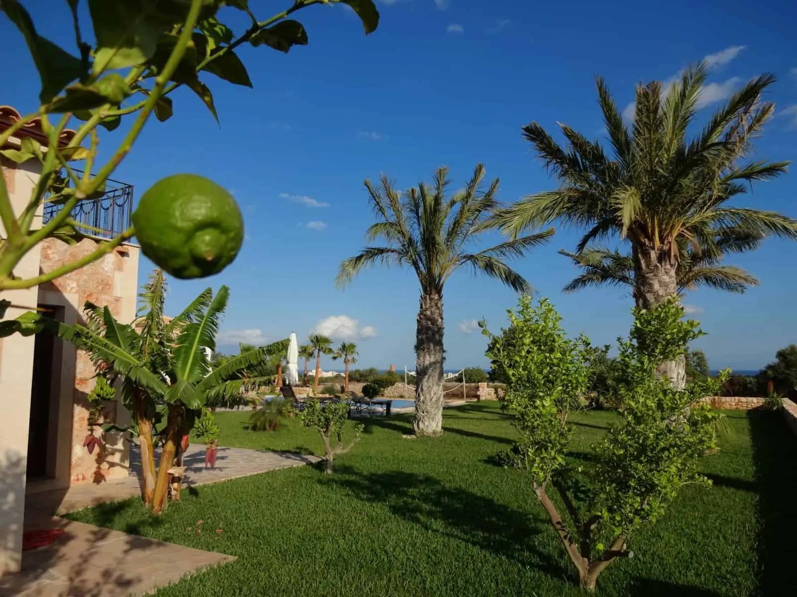 Beautiful Finca in the East of Mallorca