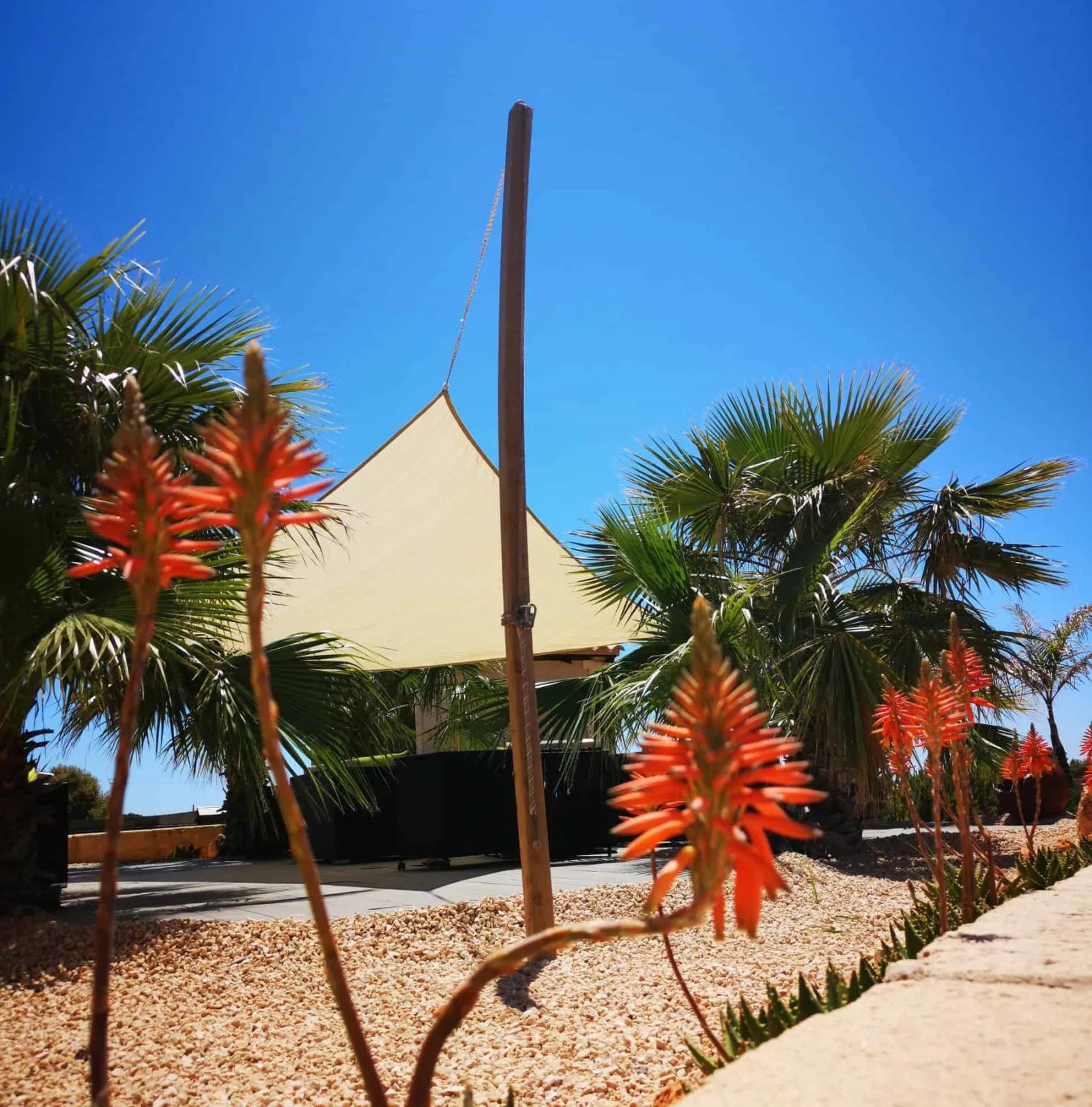 Finca Hotel in the Nature of Mallorca – Photo 7