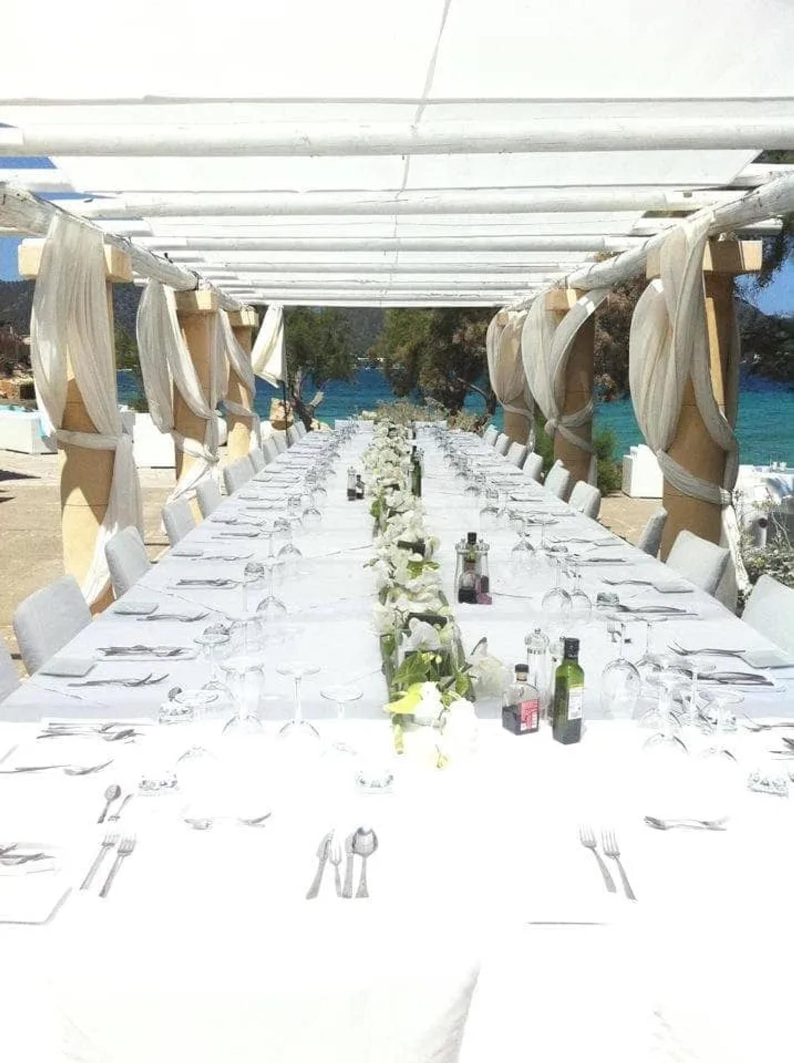 A Dream All in White