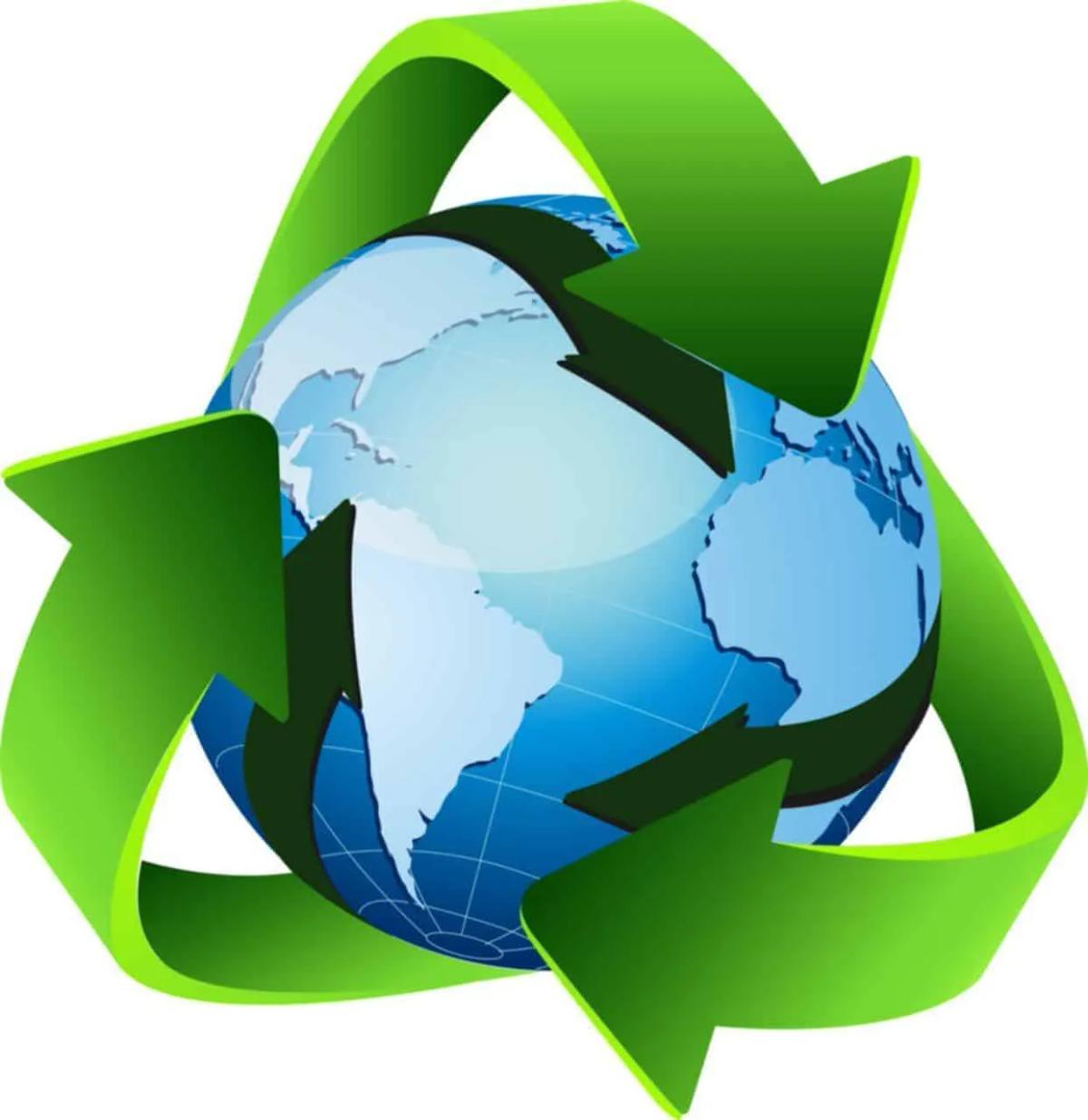 Ecorace – the Ecological Game