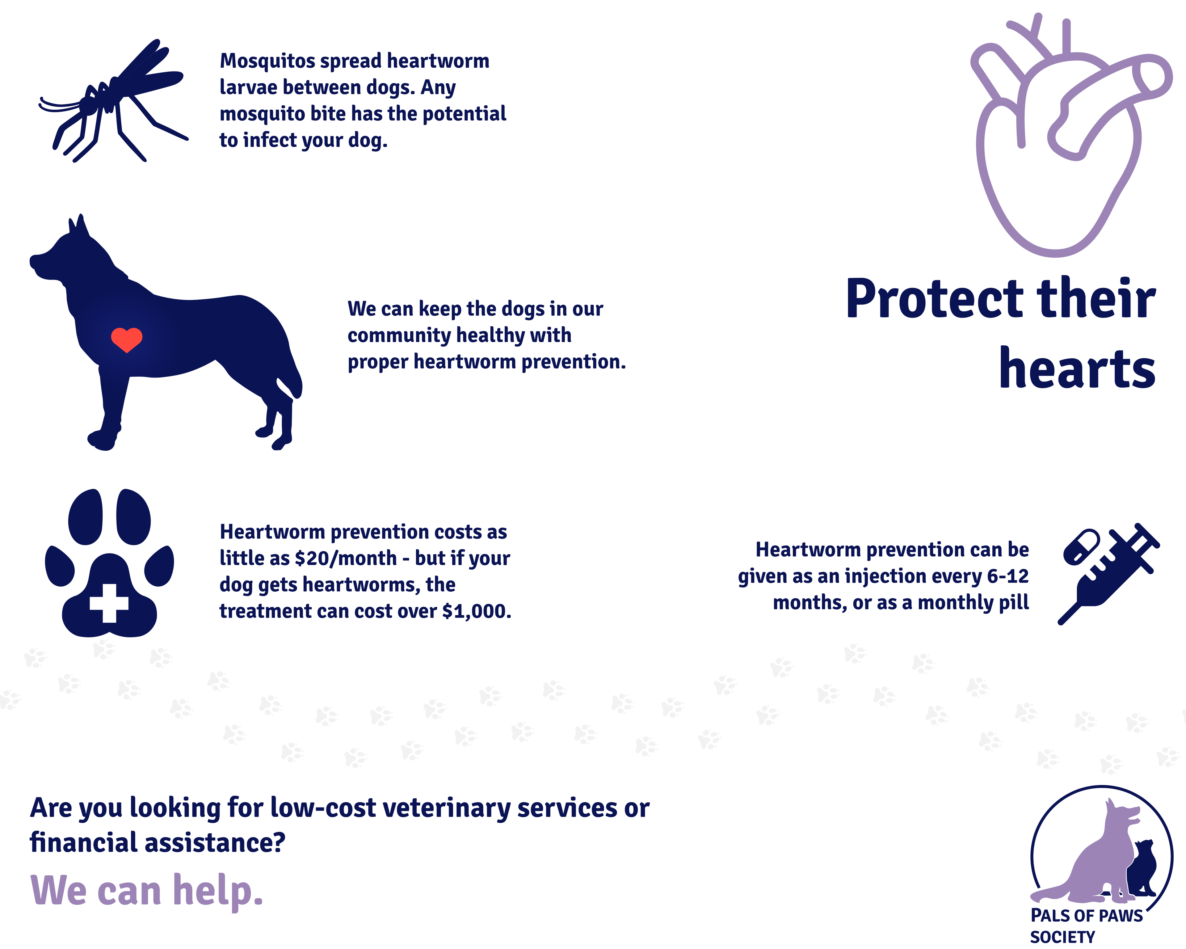 A series of infographics describing the importance of heartworm treatments as well as the negative effects a growing stray population has on heartworm infection rates