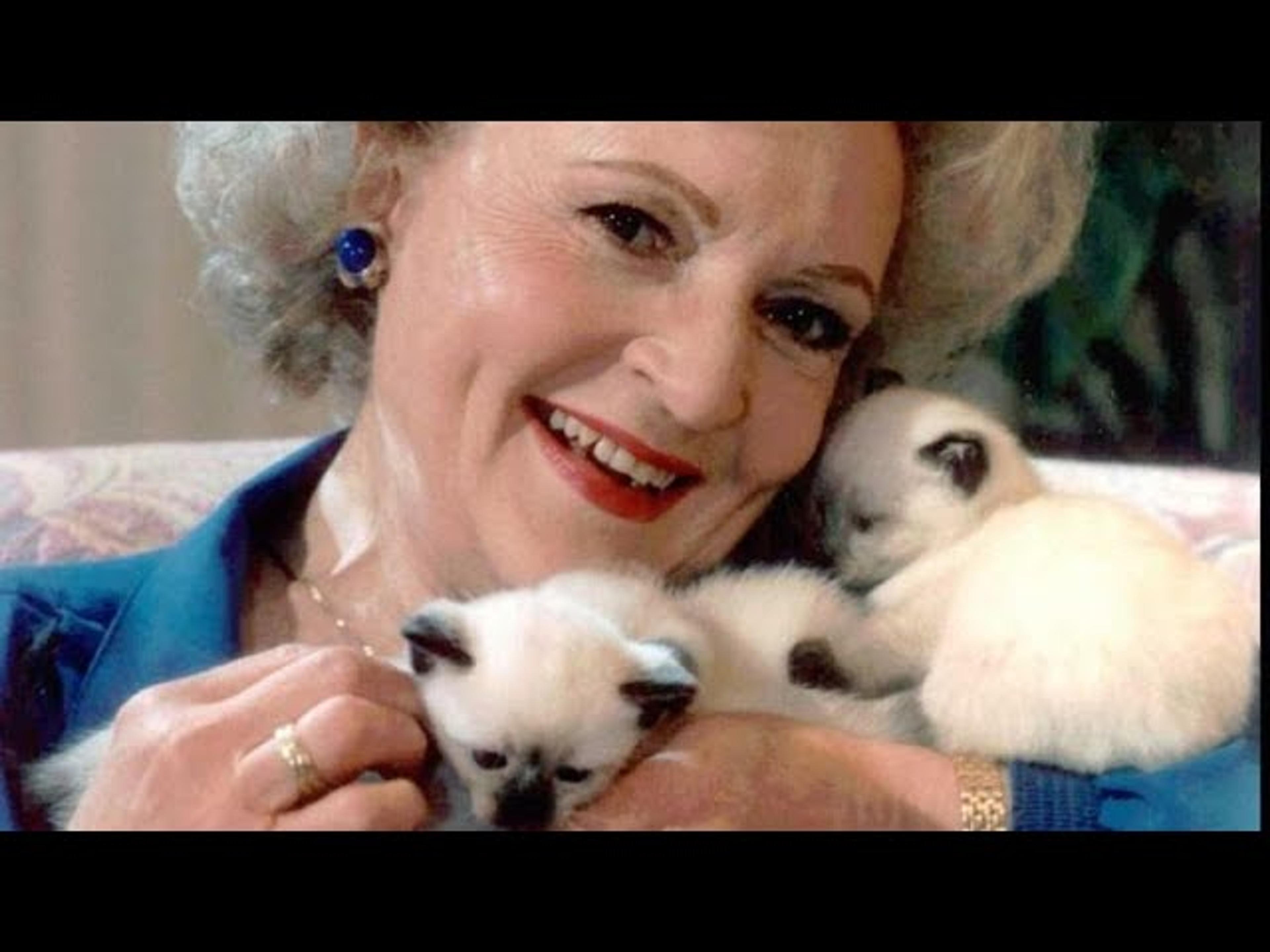 Betty White holding three kittens