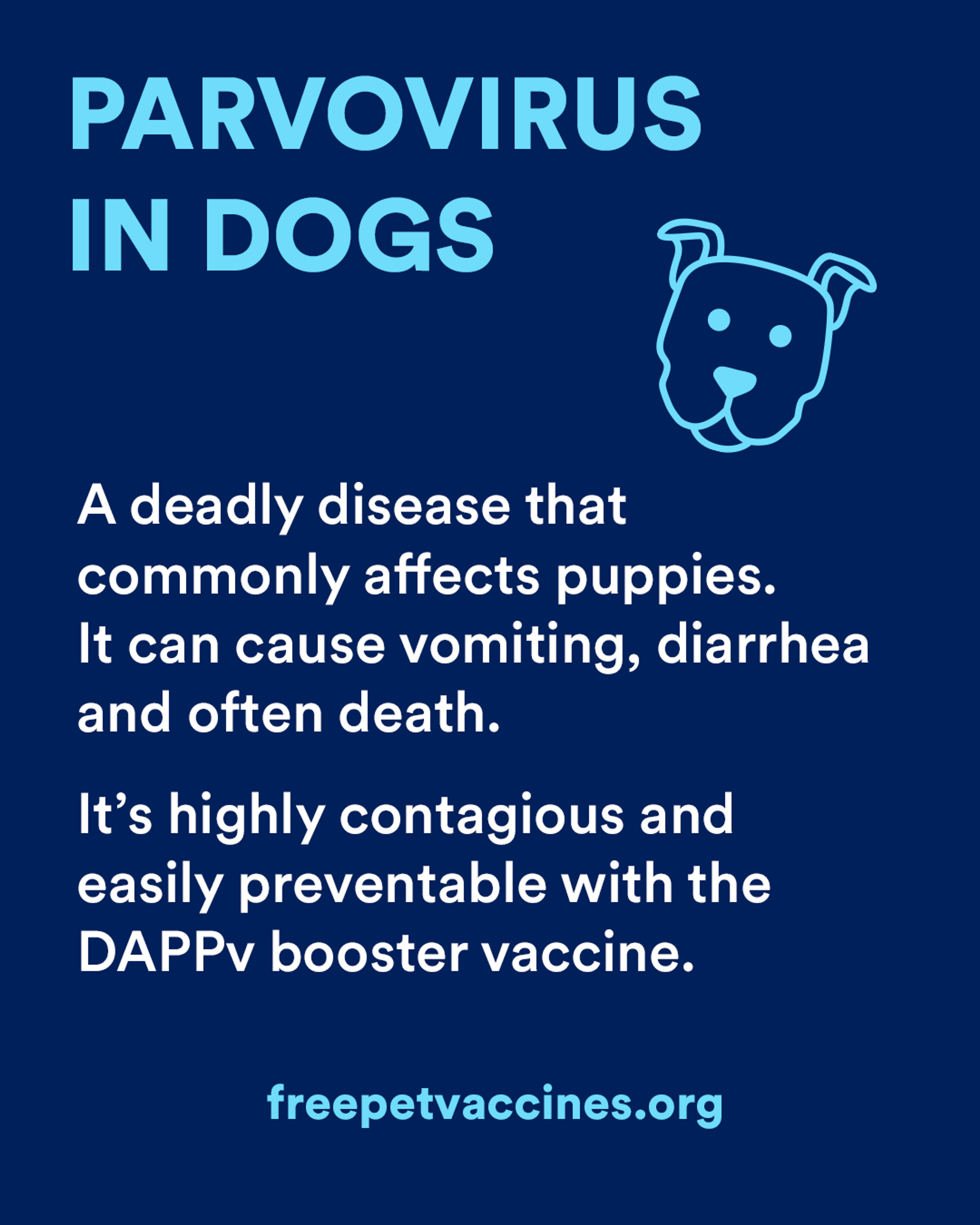 Parvovirus in Dogs - A deadly disease that commonly affects puppies. It can cause vomiting, diarrhea, and often death. It's highly contagious and easily preventable with the DAPPv booster vaccine. 