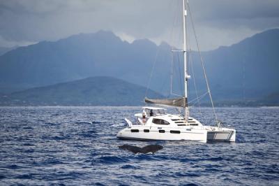 Ko Olina private charter