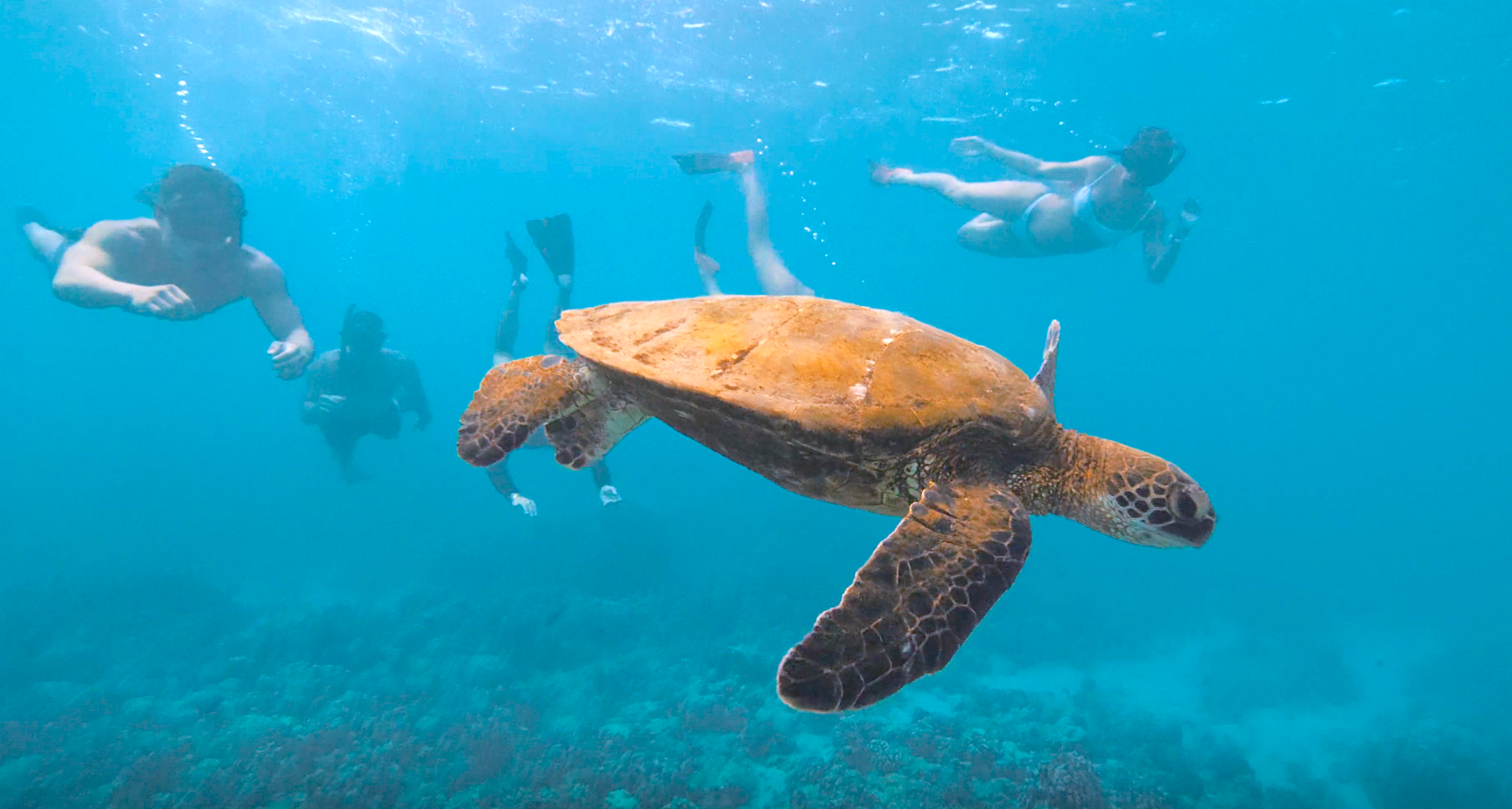 MANAKAHI — MANA Cruises + Charters