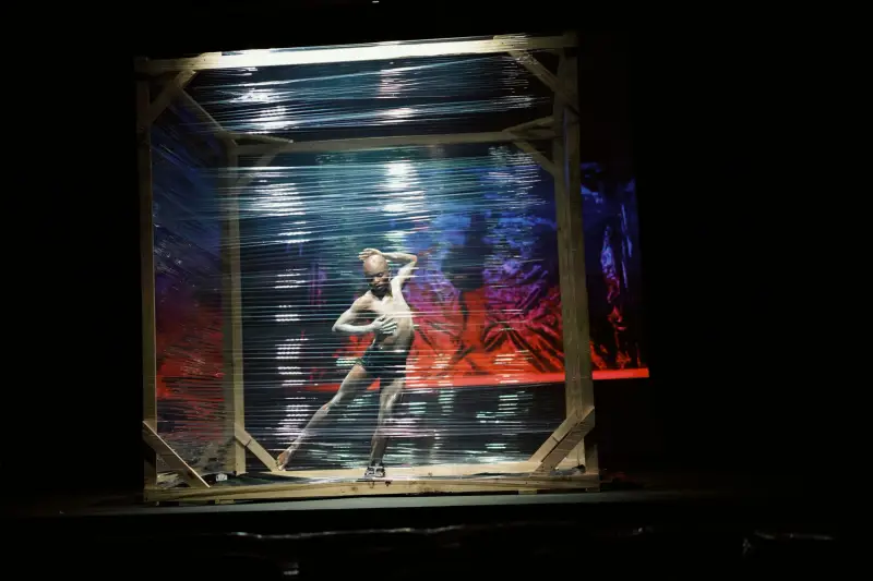 Afrovibes Festival 2025: A Celebration of African Culture in the Netherlands