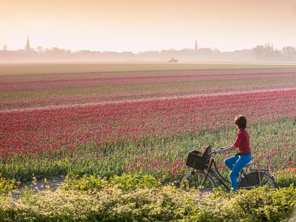 Keukenhof 2026: Your Complete Guide to the Netherlands' Tulip Season