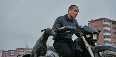 CinemAsia Film Festival 2025: Guide to Asian Cinema Celebration