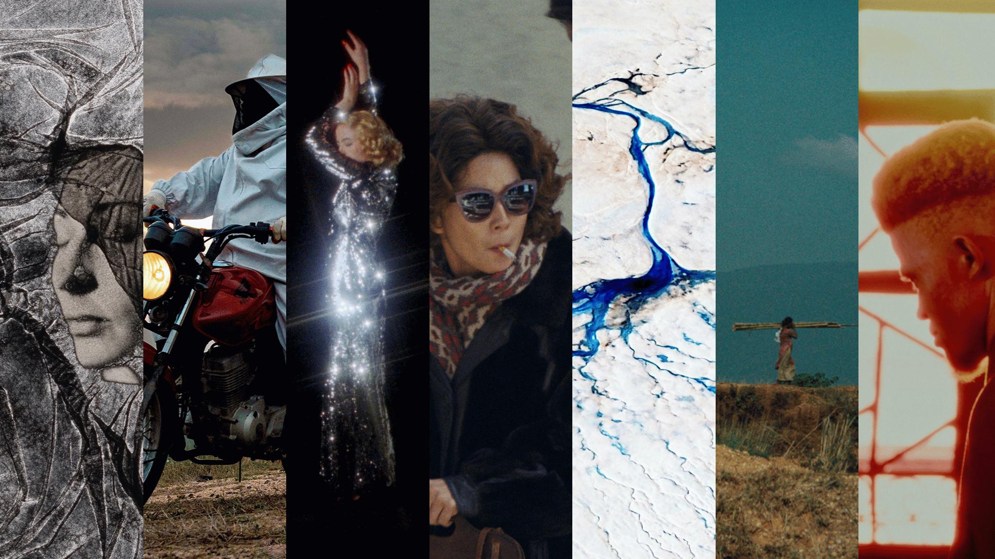 International Film Festival Rotterdam (IFFR) 2026: The Complete Guide ...