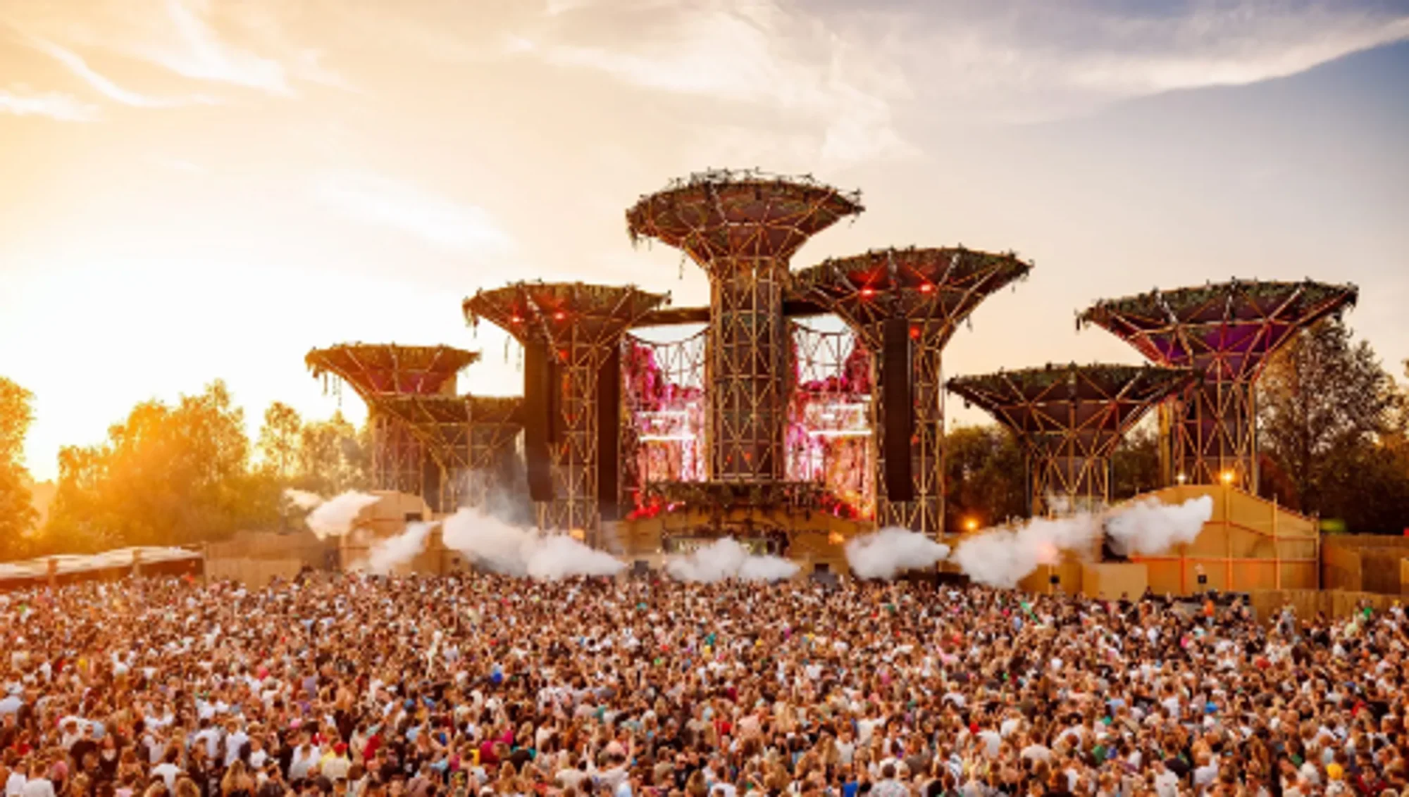Discover Amsterdam in August 2025: Cinema, Concert, Art & More