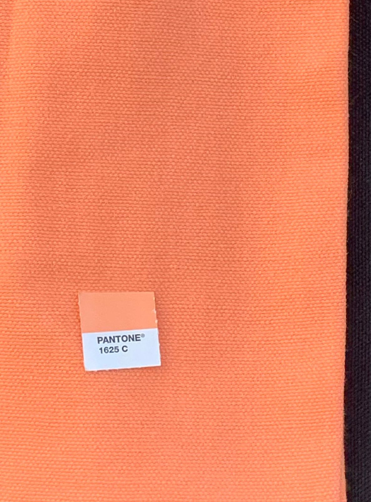 Retreat Tote pantone matching
