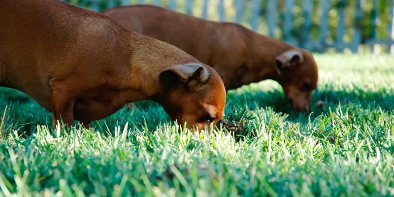 Integrated Demand-driven Policy